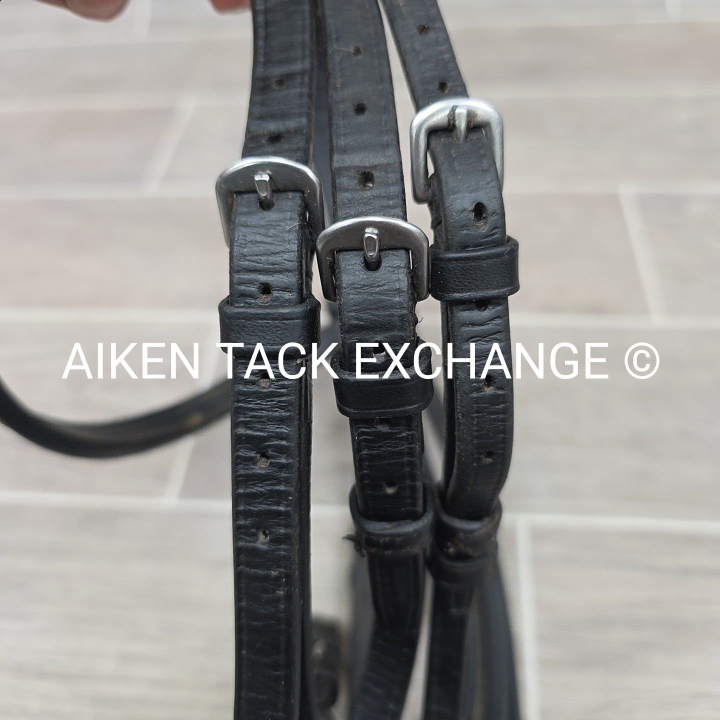 Passier & Sohn Fortuna Bridle, No Reins, Missing Flash Strap, Black, Size Full