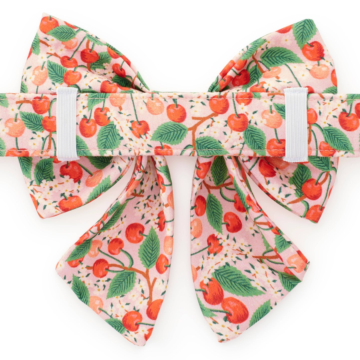 The Foggy Dog - Rifle Paper Co. x TFD Cherry Blossom Spring Lady Dog Bow: Large
