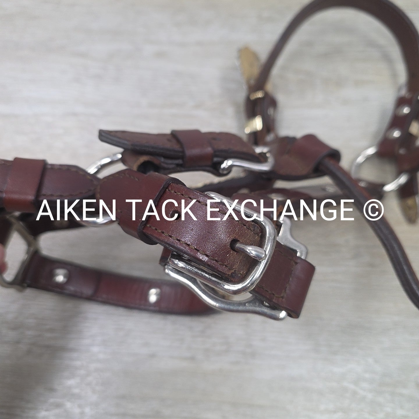 Western Show Halter, Size Full