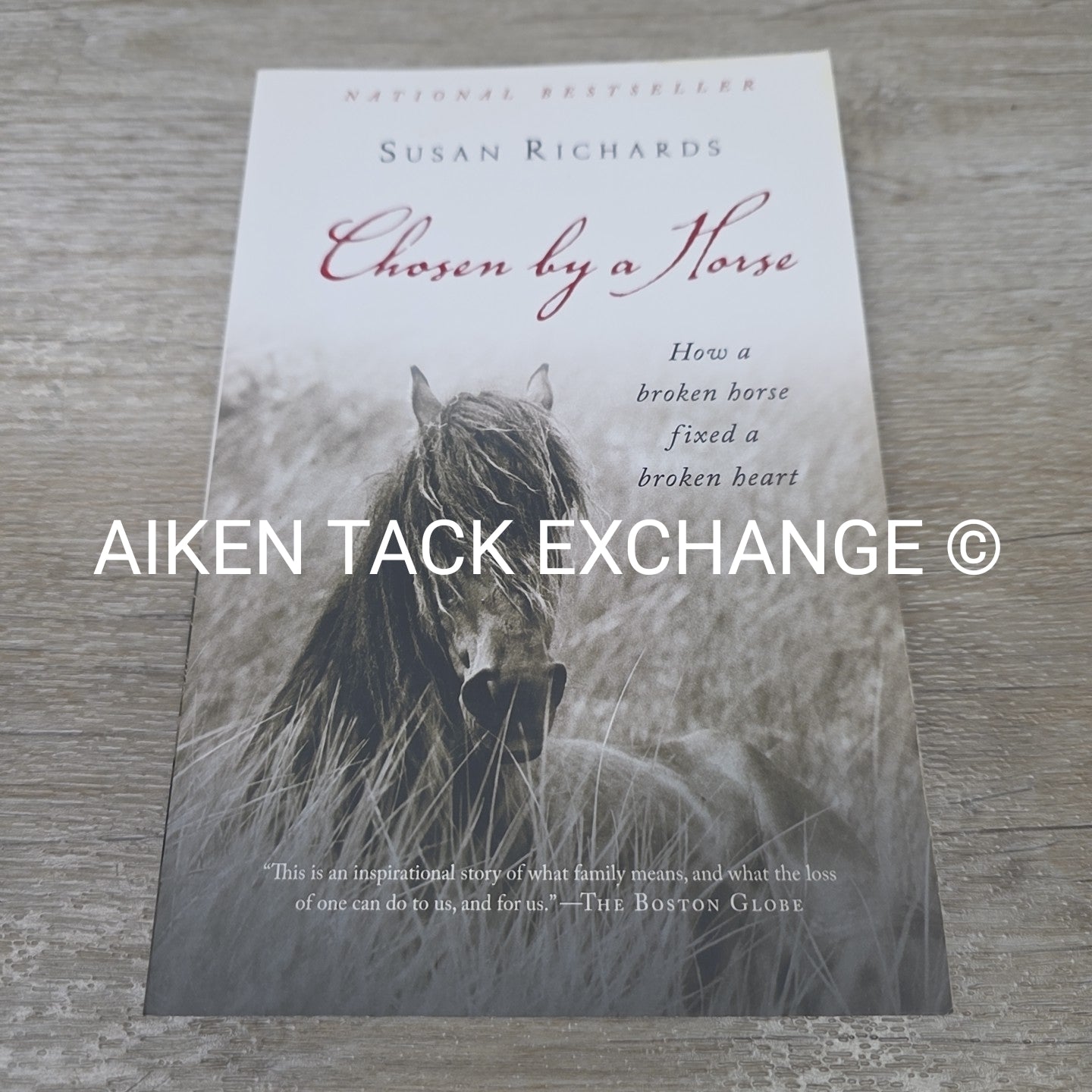 Chosen by a Horse by Susan Richards