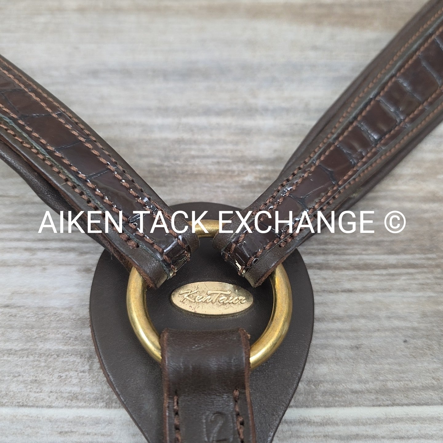 Kentaur Elastic Breastplate with Running Martingale Attachment, Brown, Size Cob