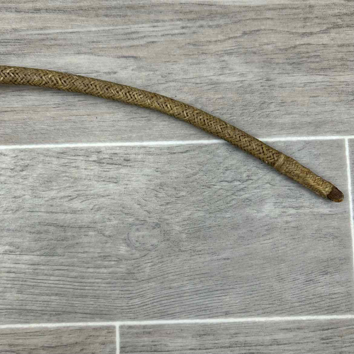 Camel Whip