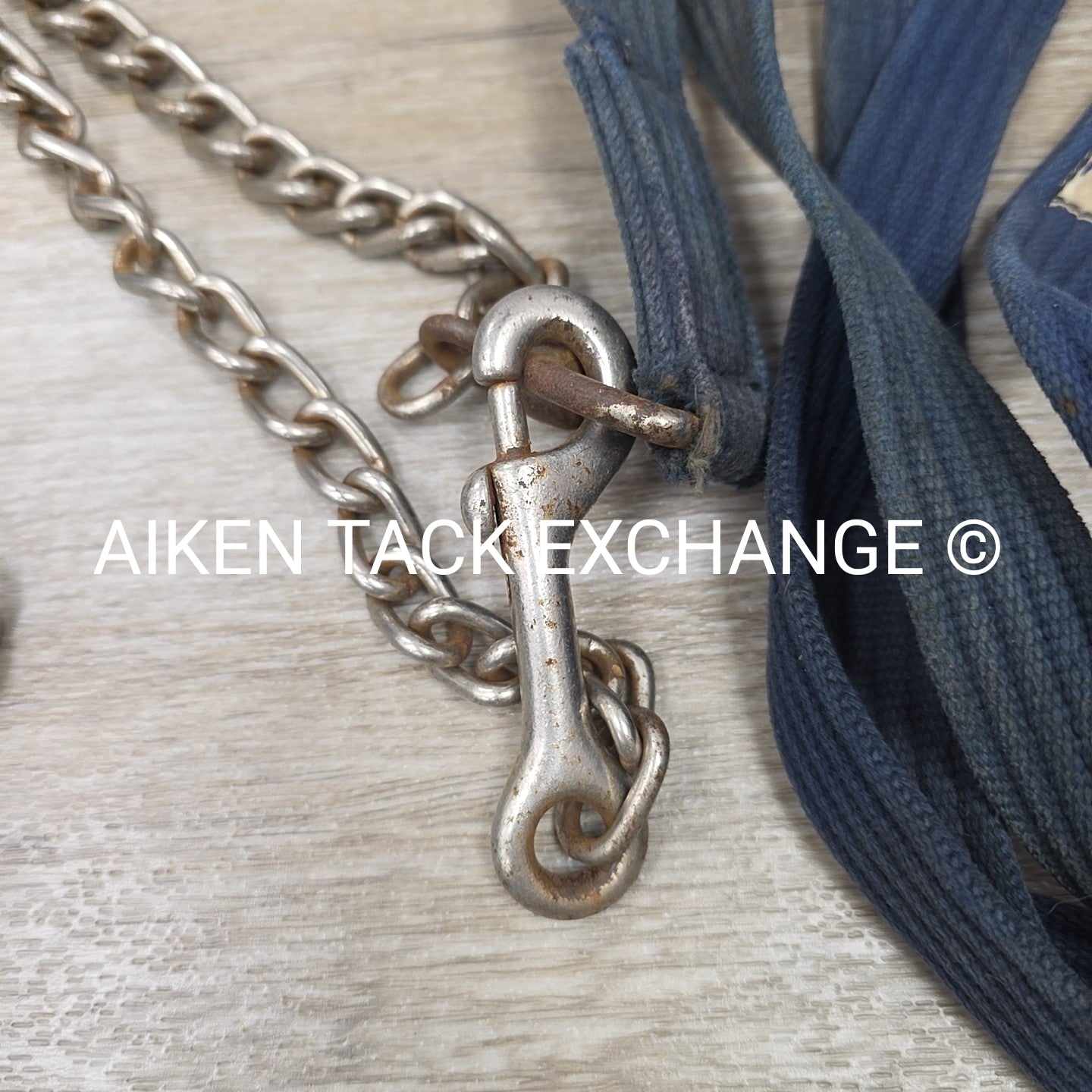 BARGAIN BUNDLE: Cotton Web Lunge Line with Chain & Leather Lead with Chain