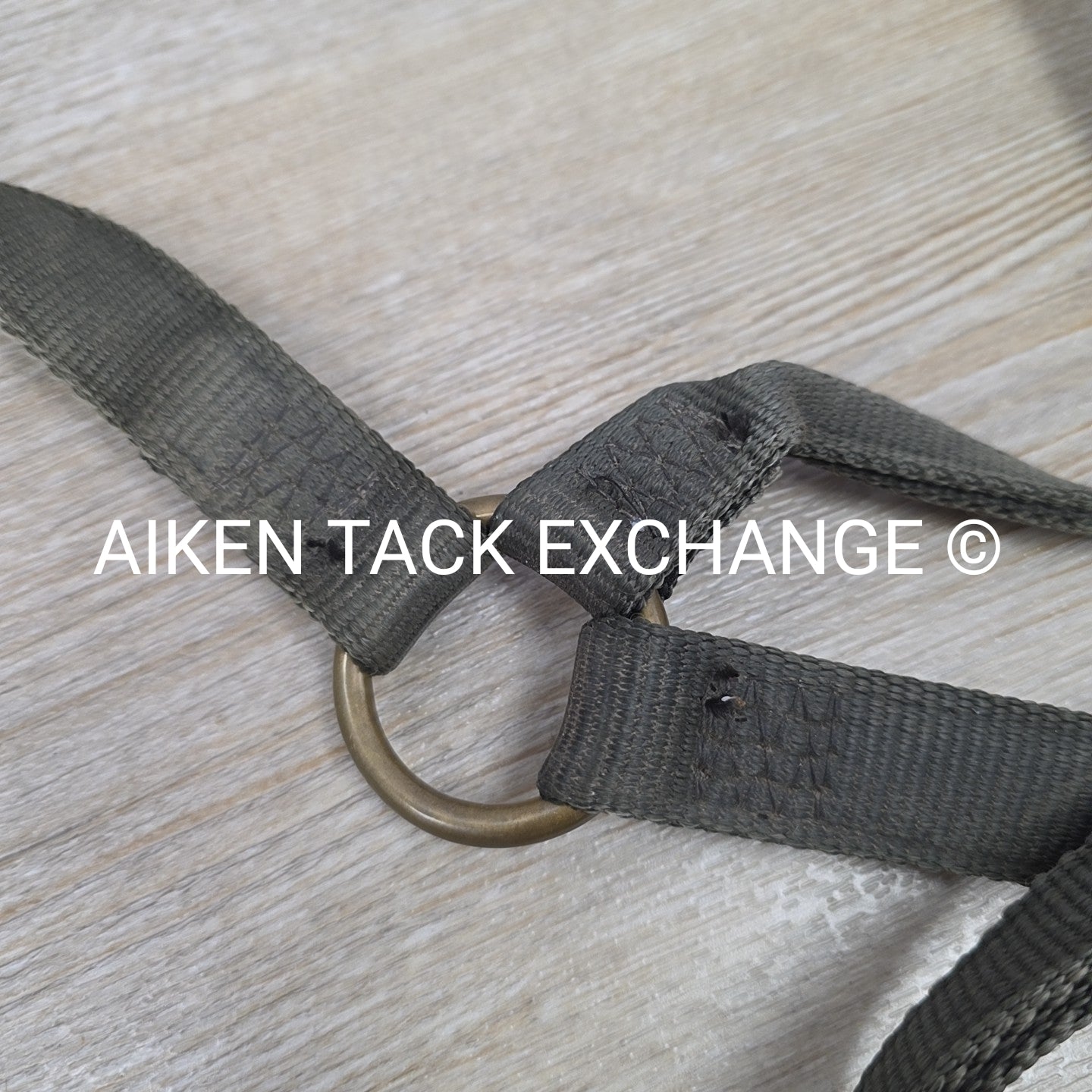 Walsh Nylon Halter, Size Cob