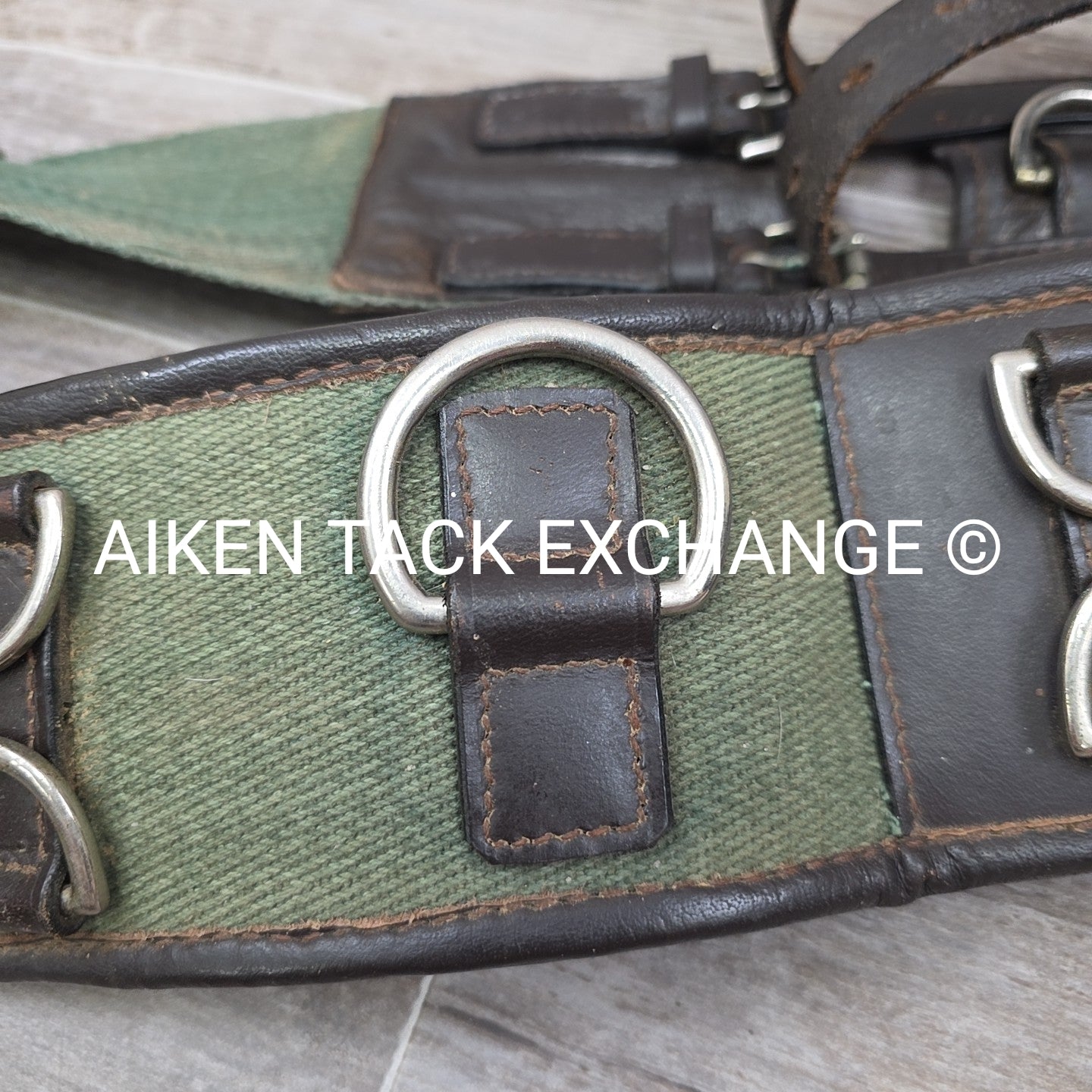 Dover Saddlery Classic Web Lunging Surcingle