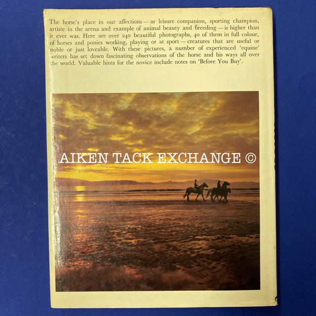 The Beauty of Horses by Peter Roberts