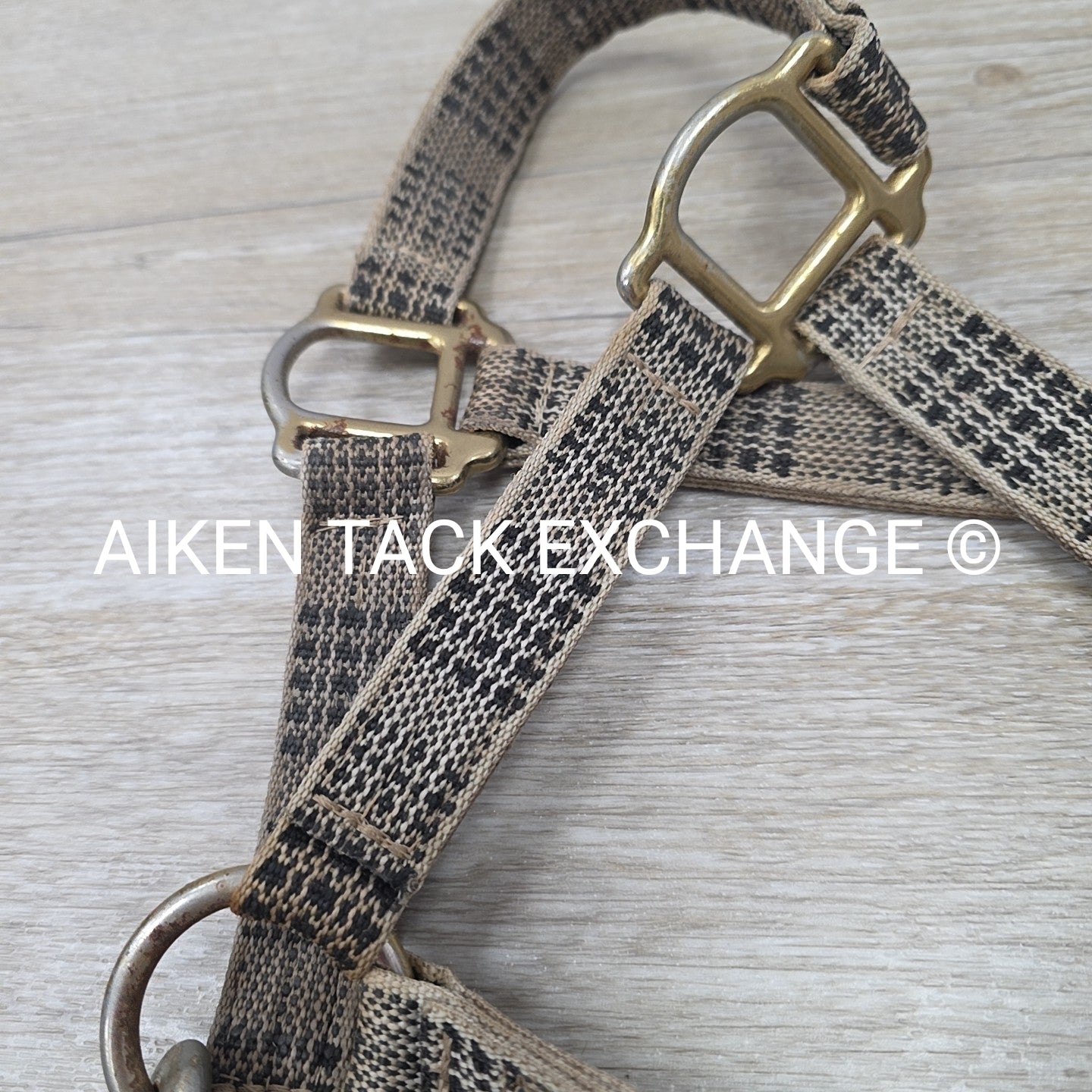 BARGAIN BUNDLE: 5/A Baker Halter & Lead with Chain, Size Pony