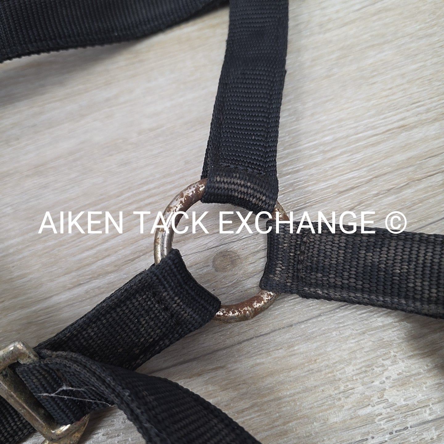 BARGAIN BUNDLE: 2 Nylon Halters, Size Full