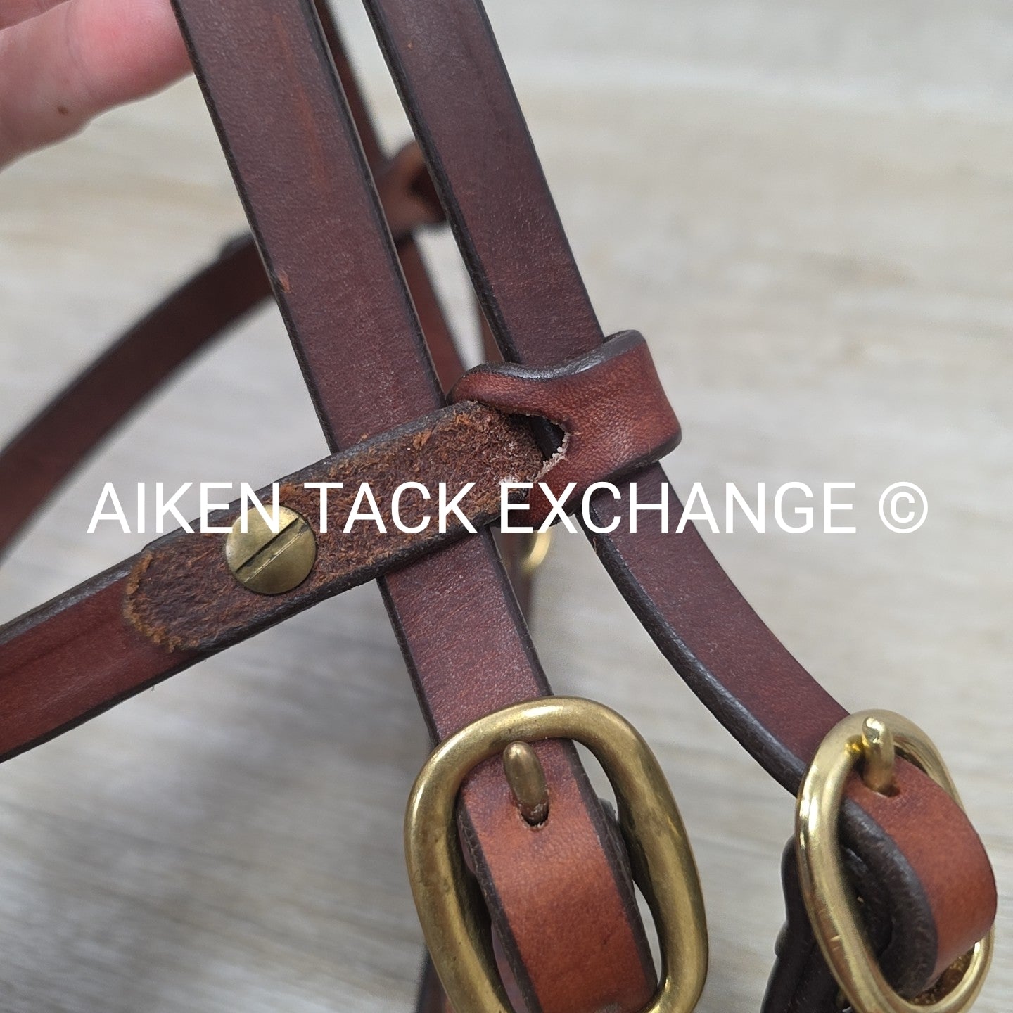 Circle Y Browband Headstall with Matching Reins, Brown, Size Full