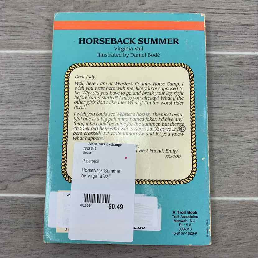 Horseback Summer by Virginia Vail