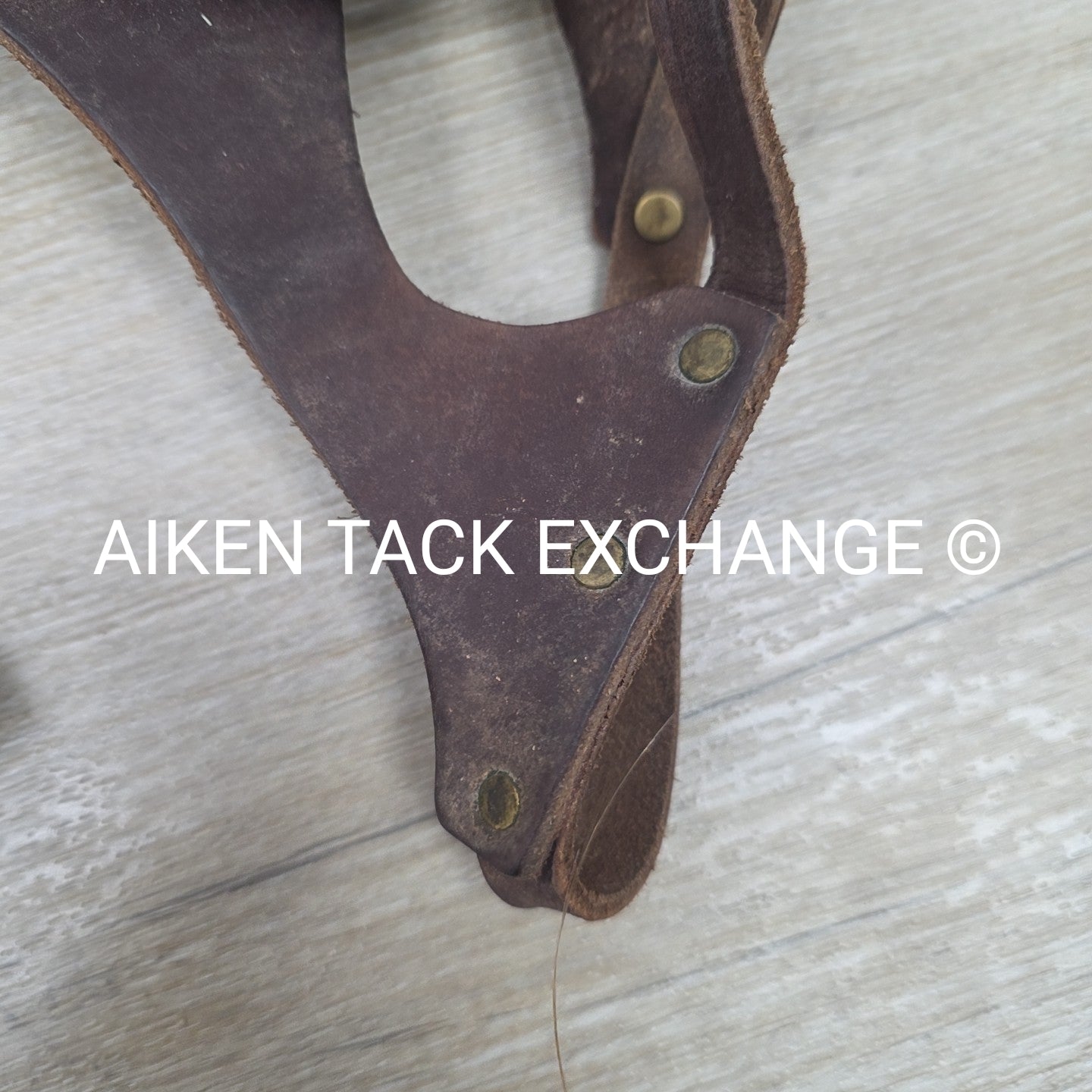 BARGAIN BUNDLE: 2 Leather Foal Halters