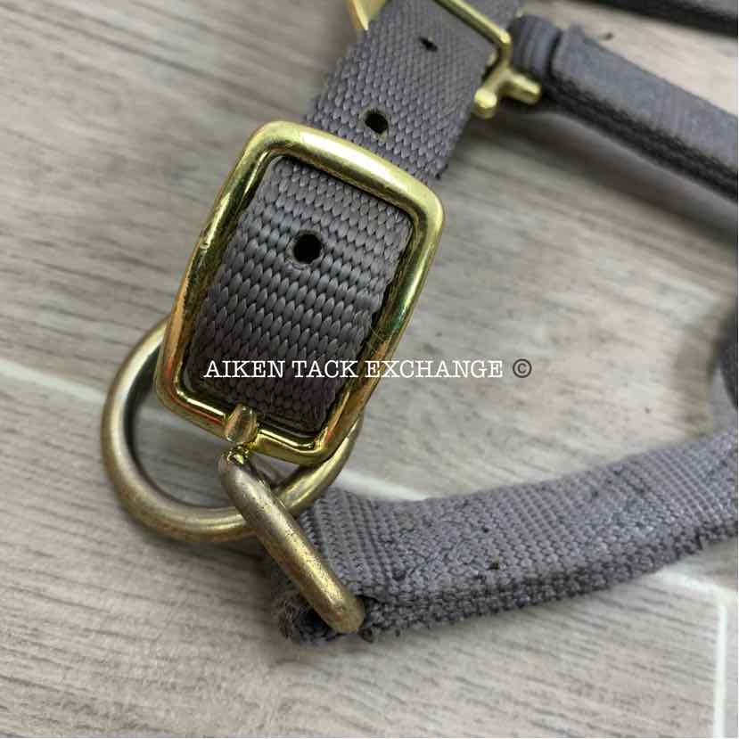Nylon Halter, Size Colt