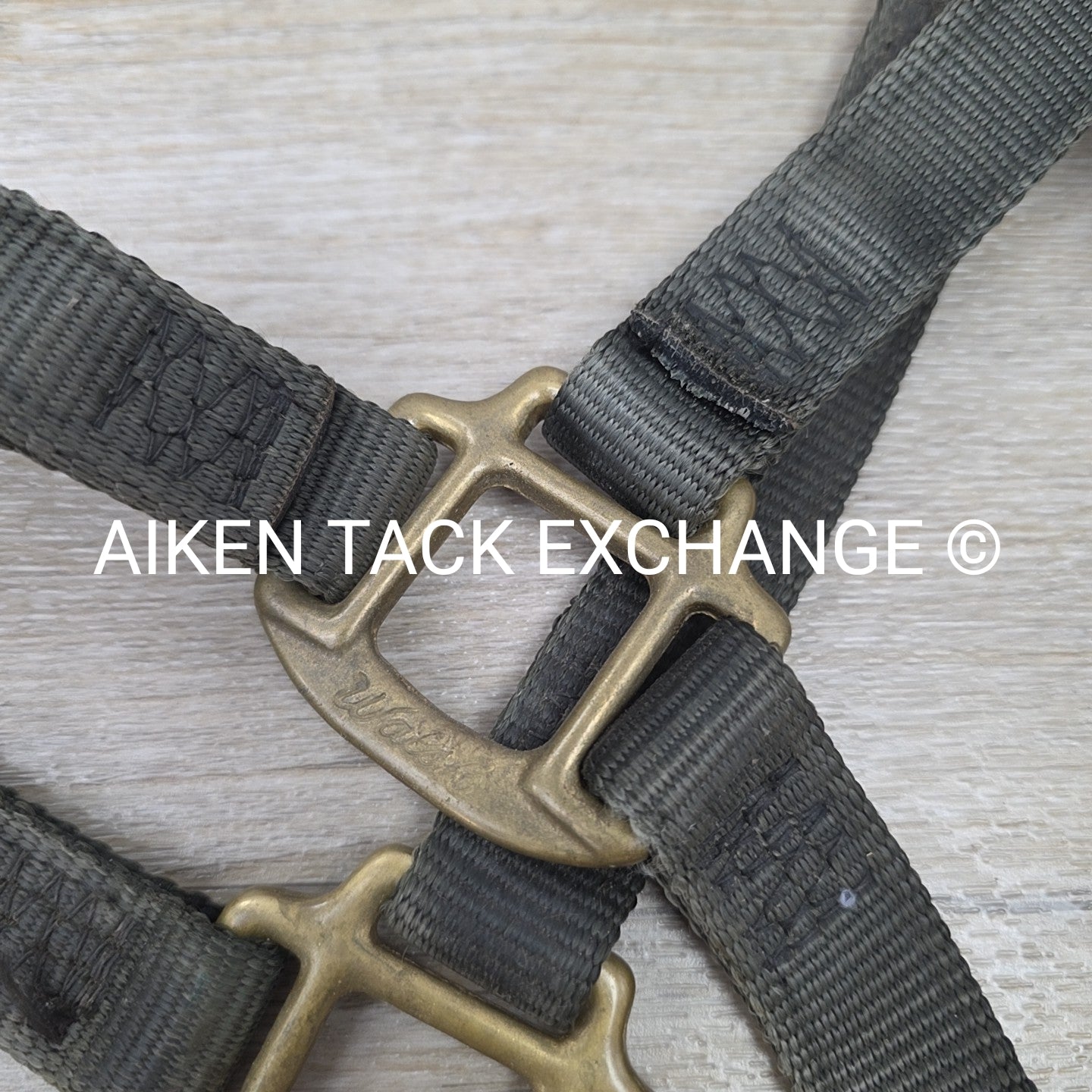 Walsh Nylon Halter, Size Cob