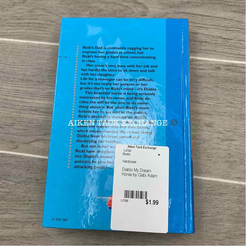 Diablo My Dream Horse by Gabi Adam