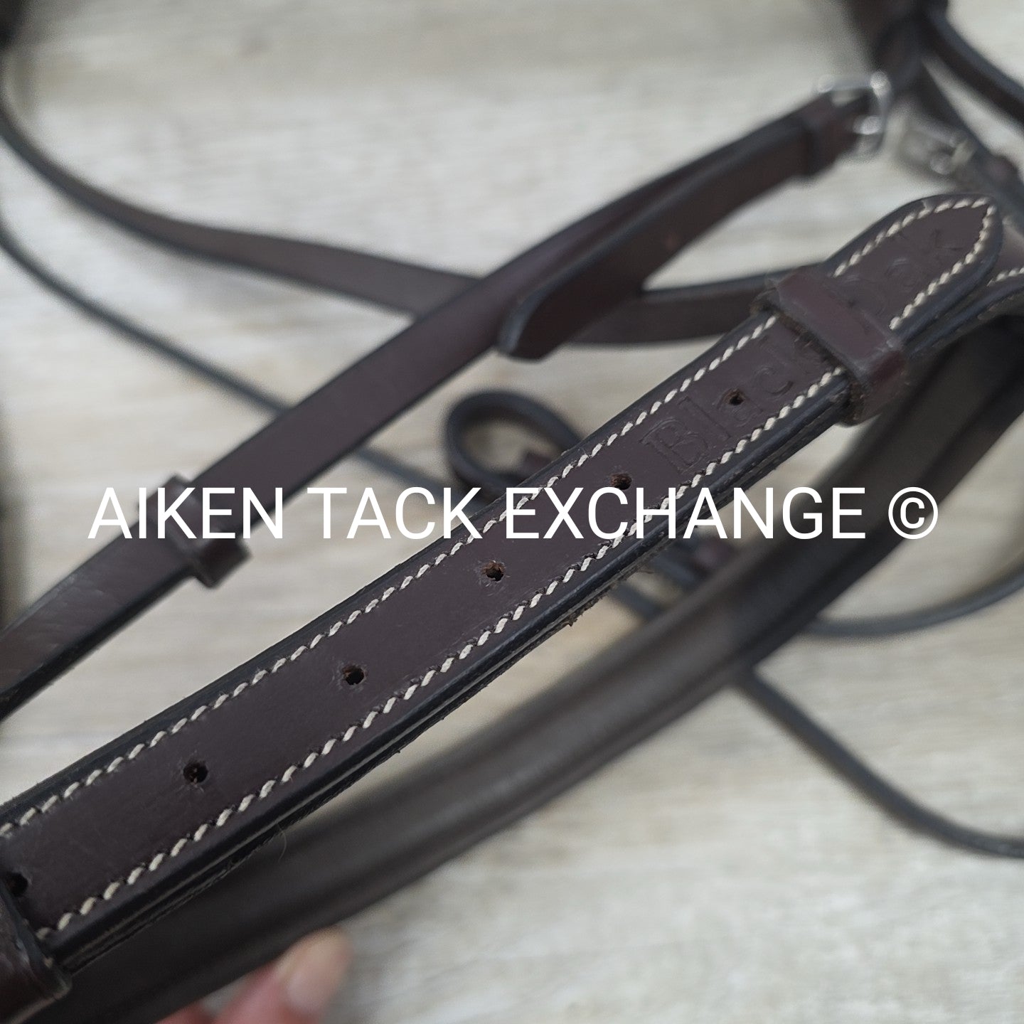 KL Select Black Oak Aster Bridle, No Reins, Oversize