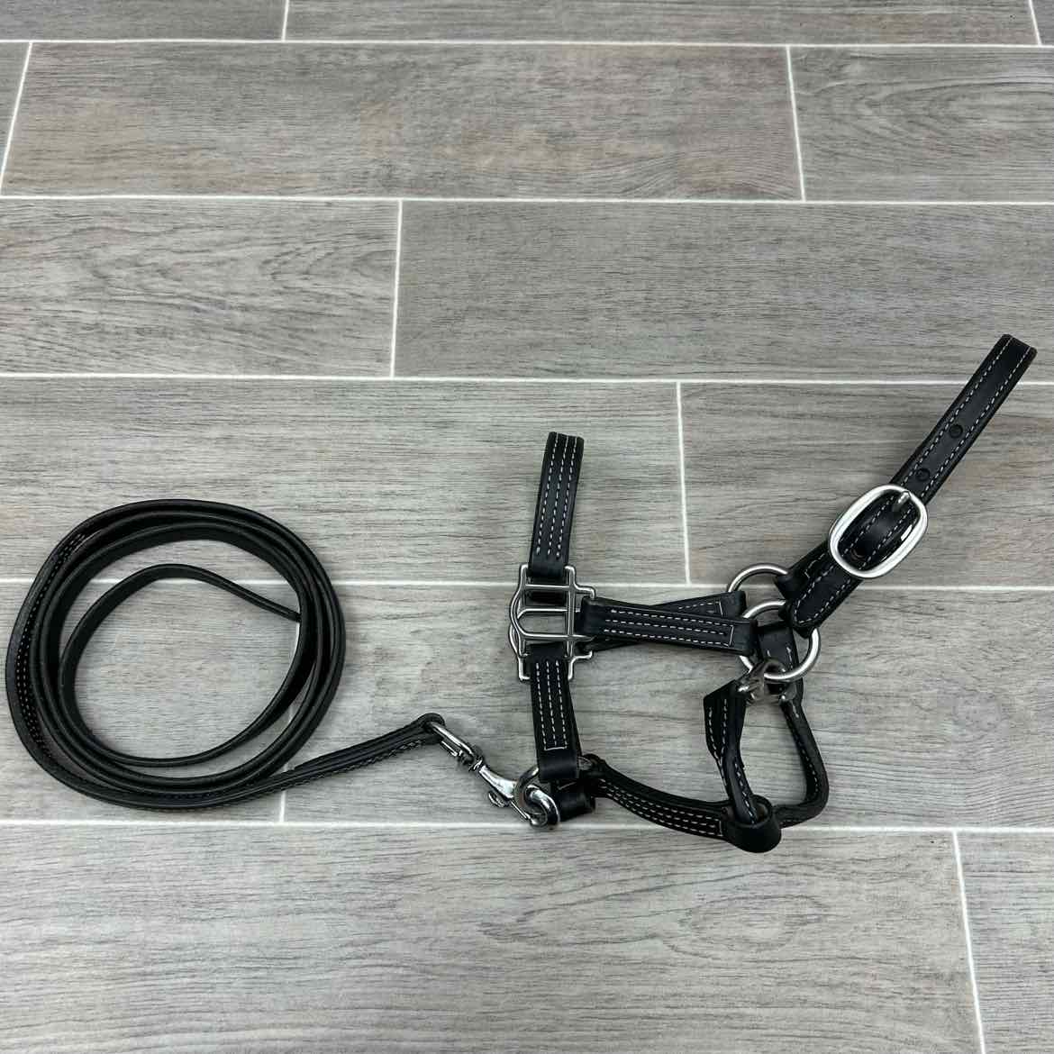 Green Hill Collection Leather Halter with Matching Lead, Size Foal / Mini