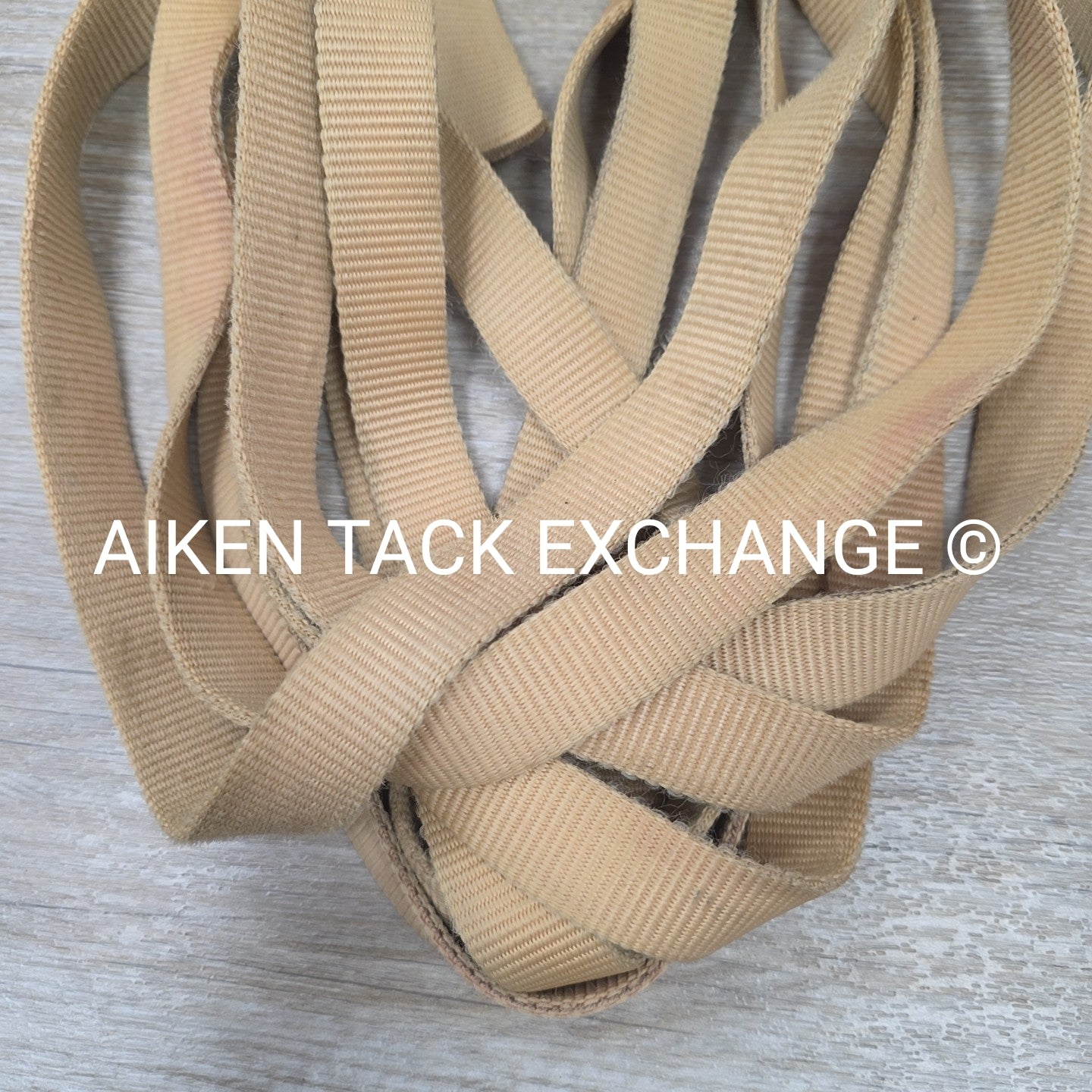 BARGAIN BUNDLE: 2 Nylon Lunge Lines