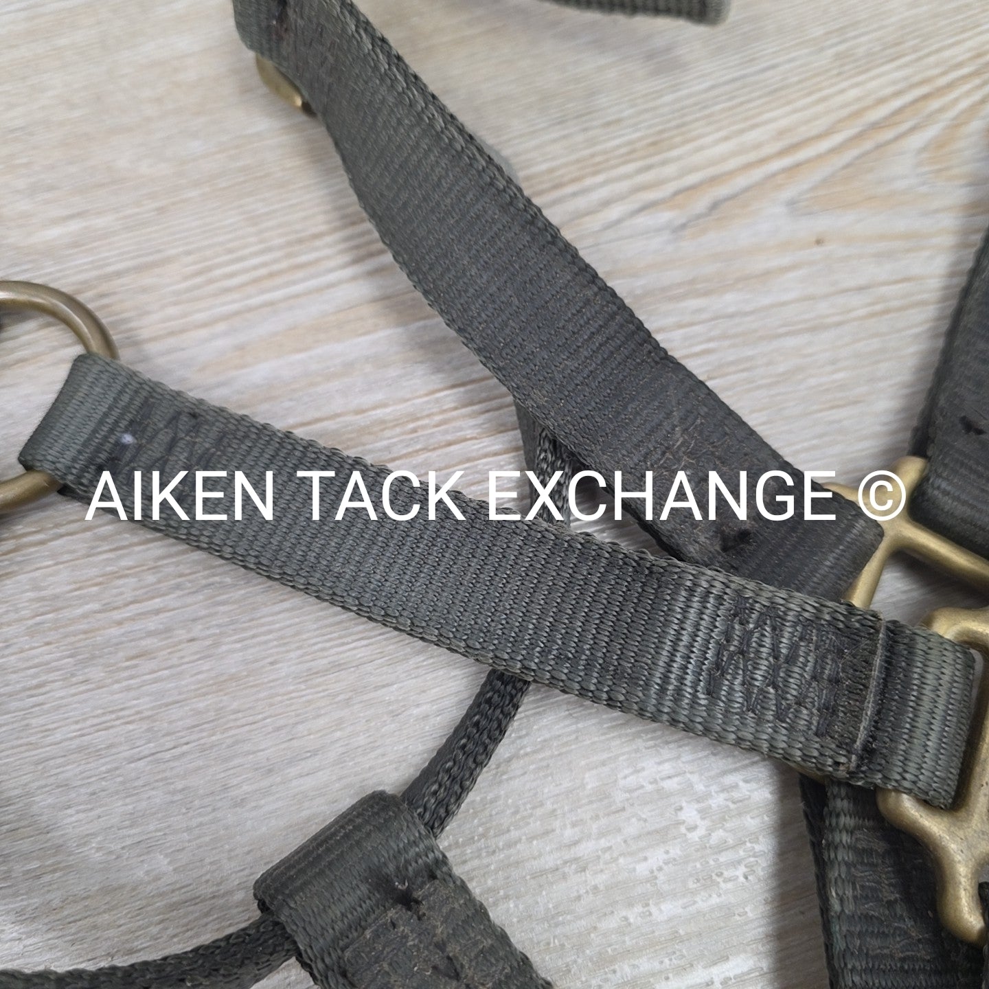 Walsh Nylon Halter, Size Cob