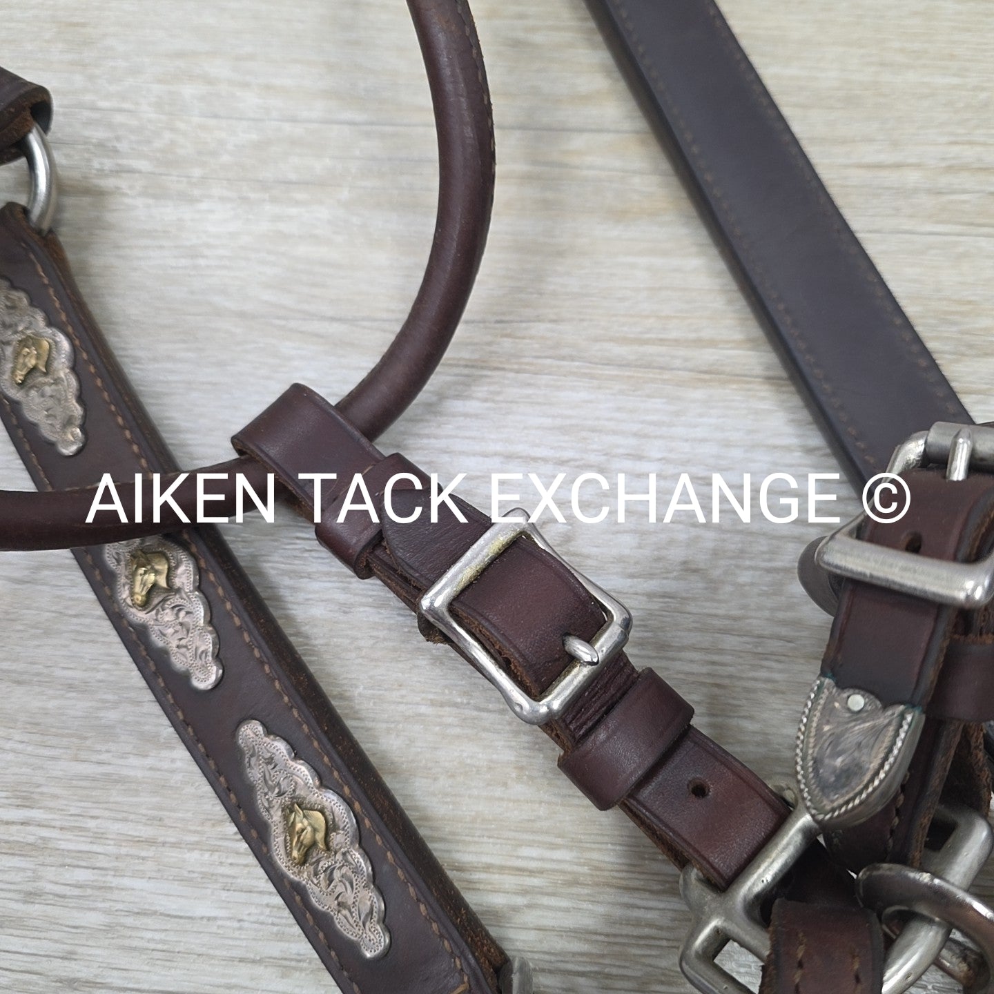 Victor Quality Westen Show Halter with Lead