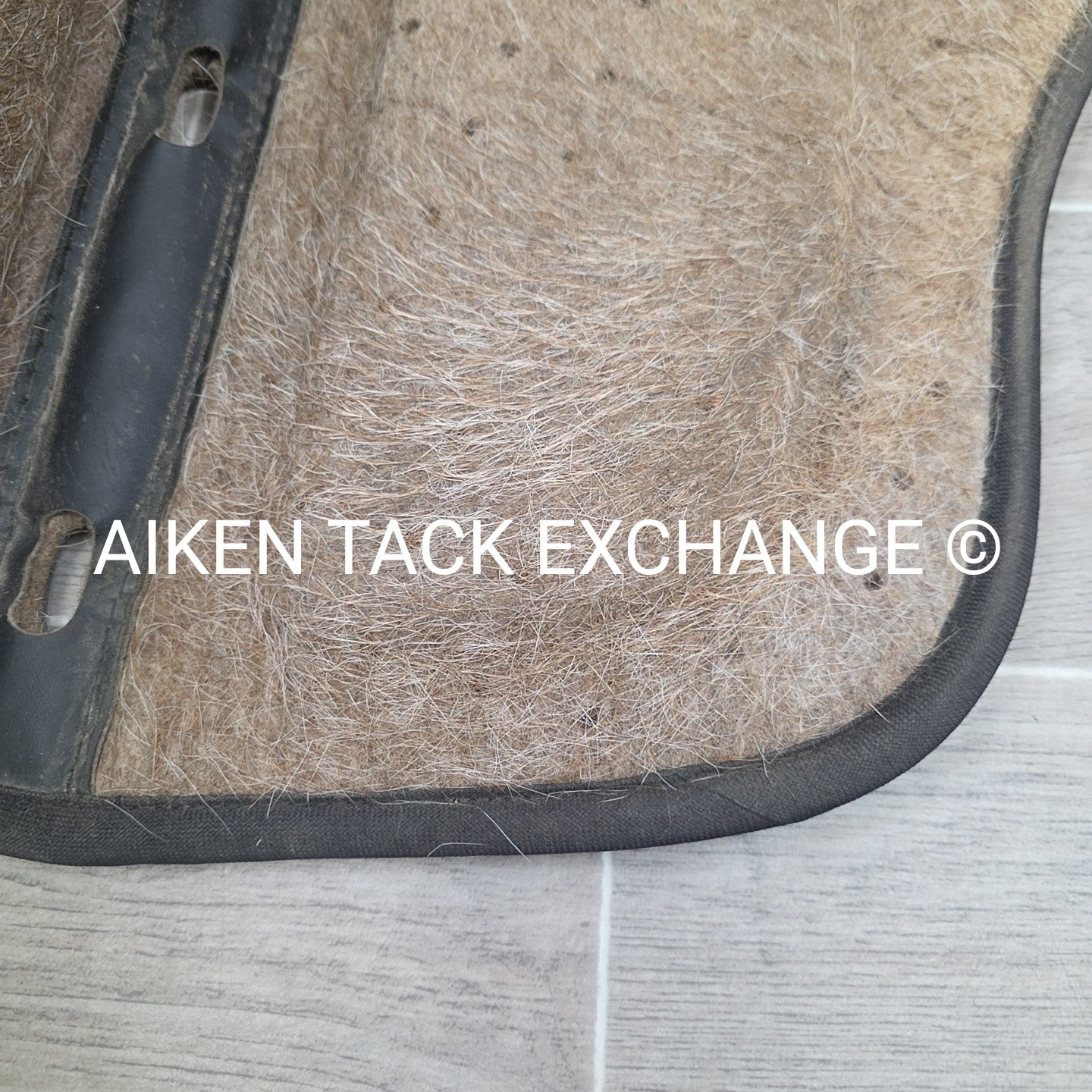 Tucker by Cavallo Saddle Pad