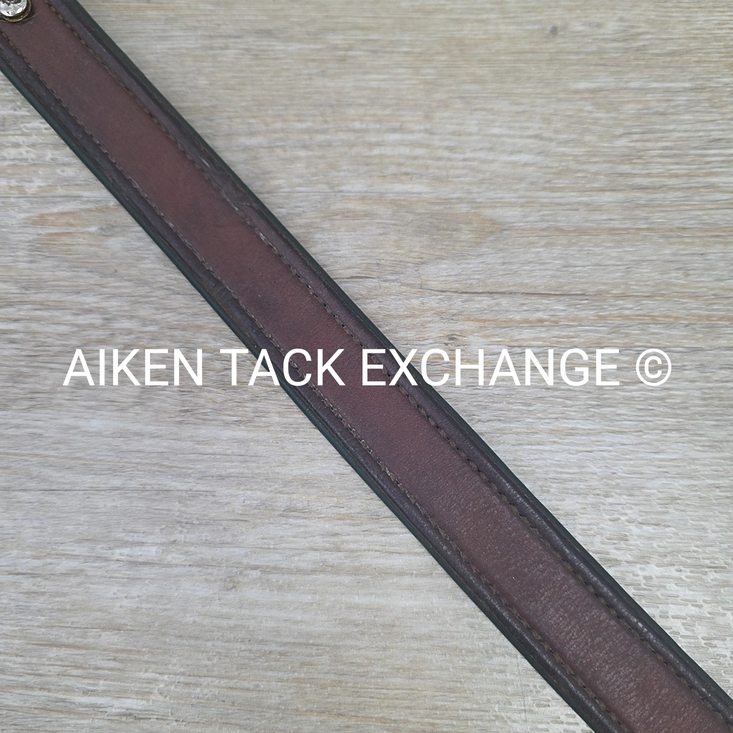 Tory Leather Padded Lead w/ Chain (has nameplate)