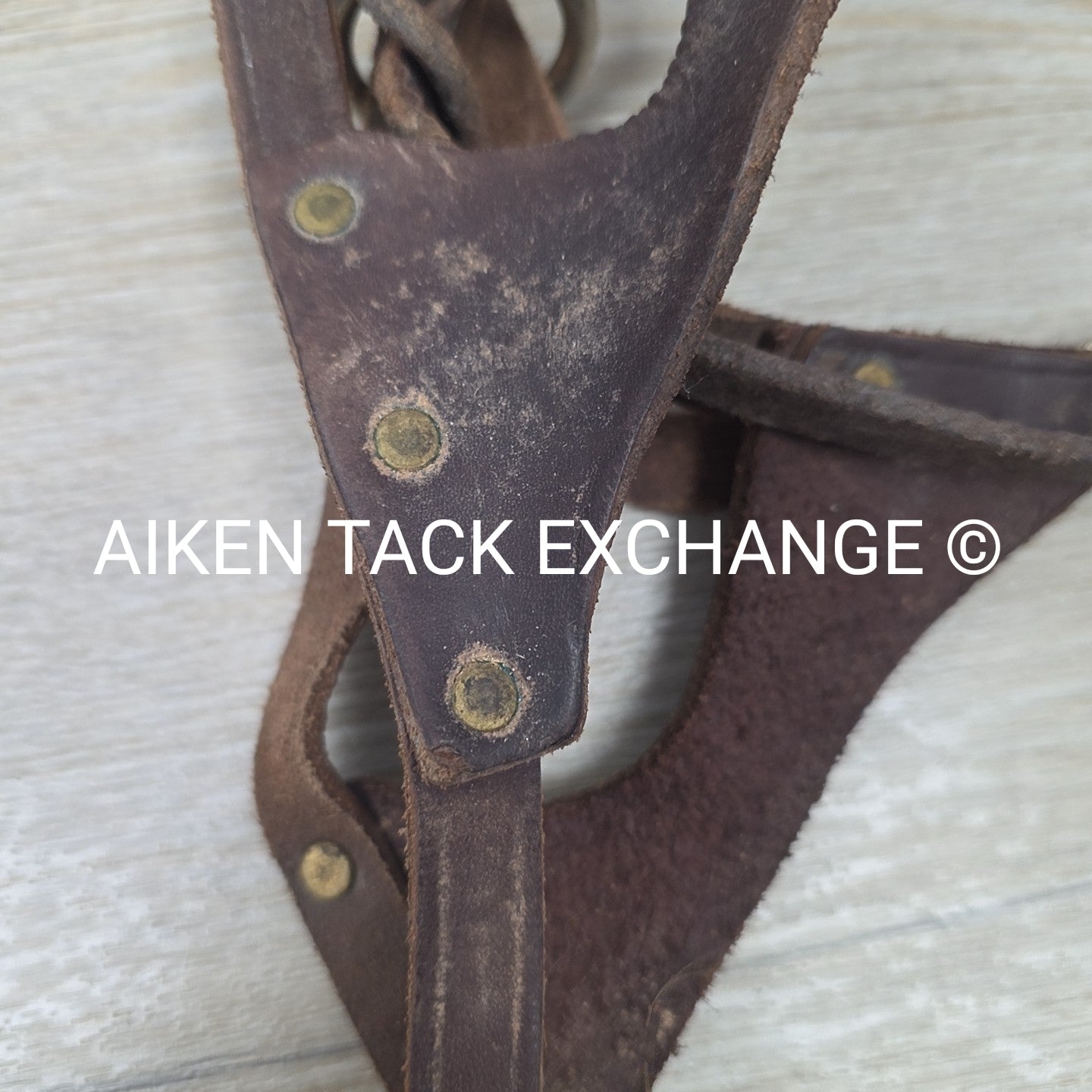 BARGAIN BUNDLE: 2 Leather Foal Halters