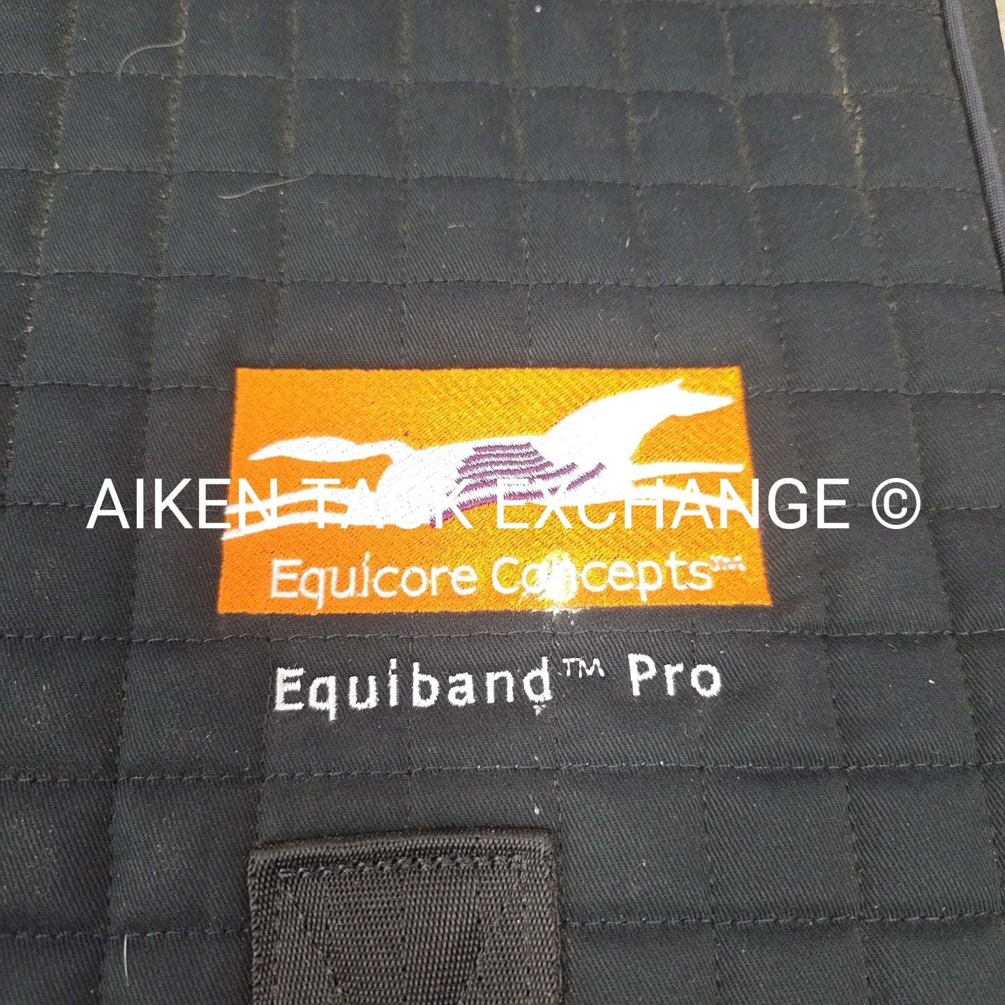 Equicore Complete Equiband Pro System