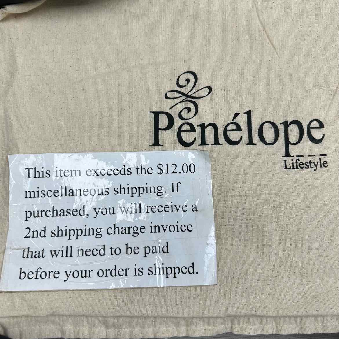 Penelope Show Travel Bag, Comes wih Dust Cover