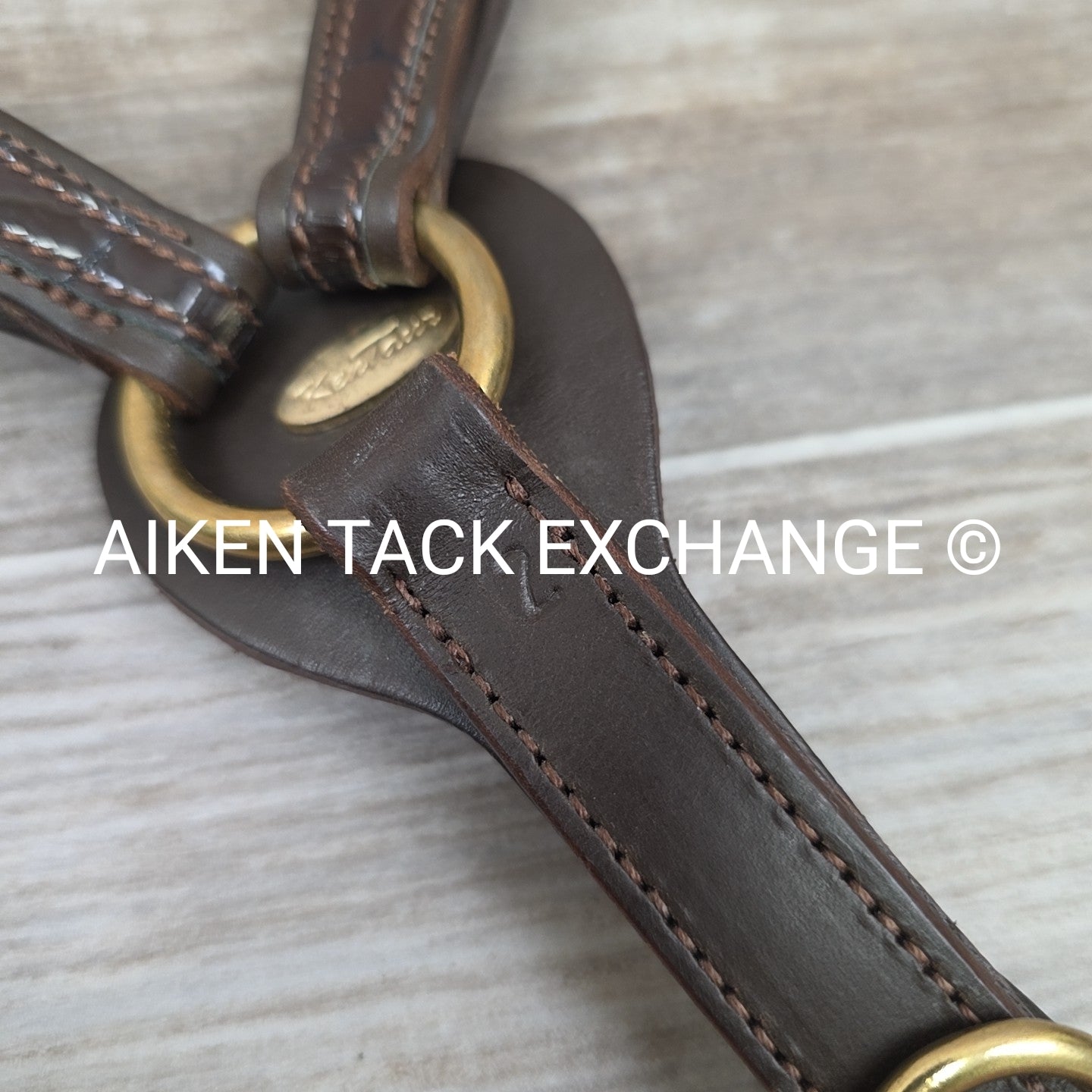Kentaur Elastic Breastplate with Running Martingale Attachment, Brown, Size Cob