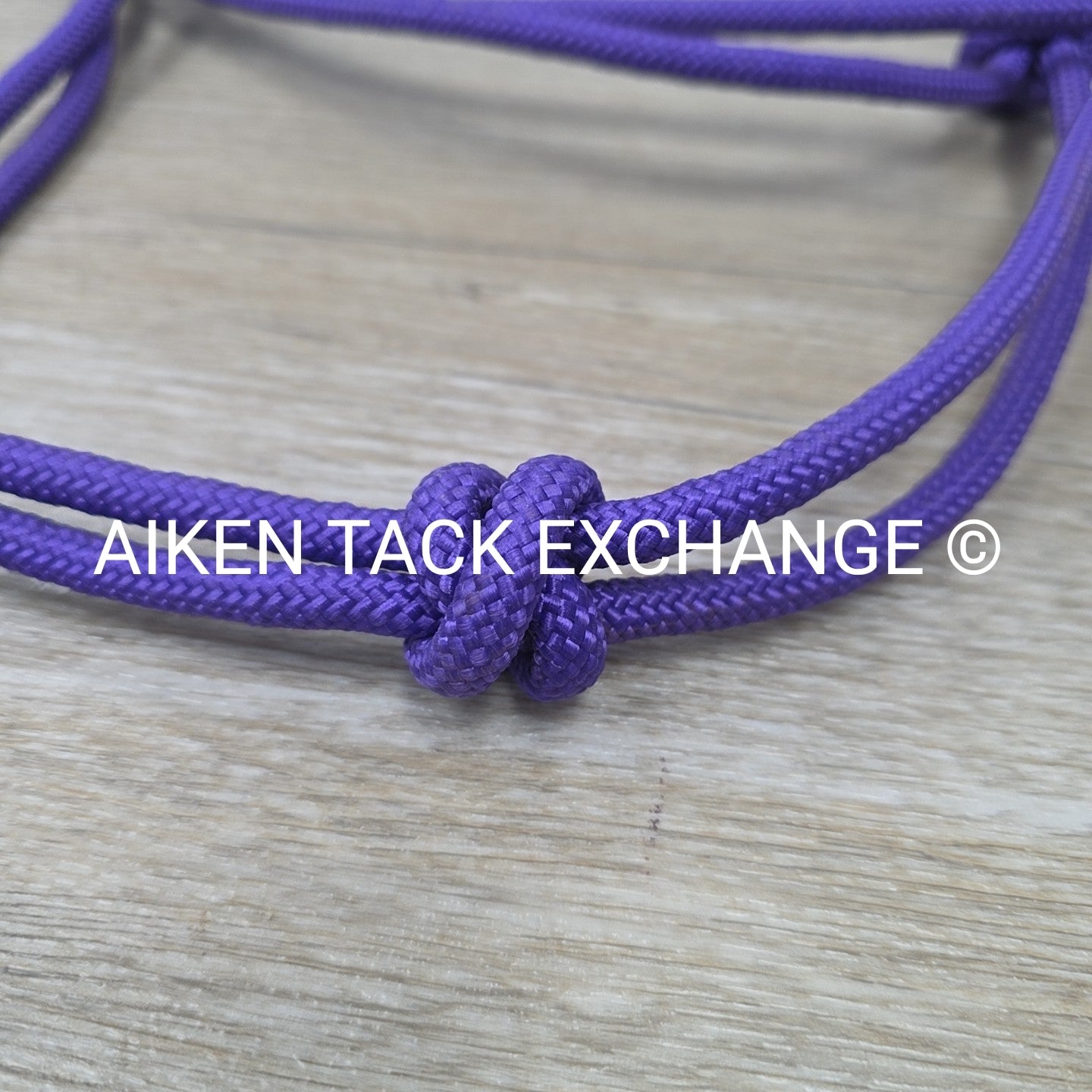 Rope Halter with Lead
