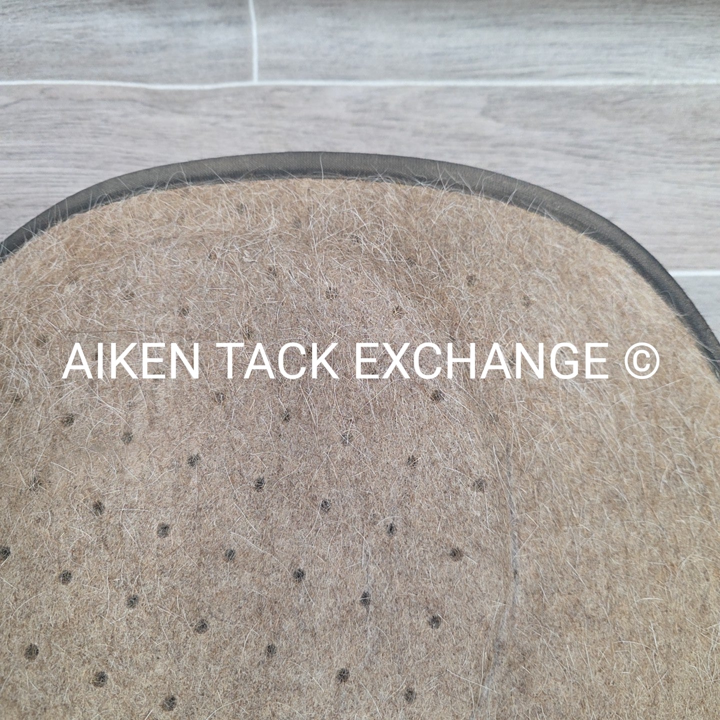 Tucker by Cavallo Saddle Pad
