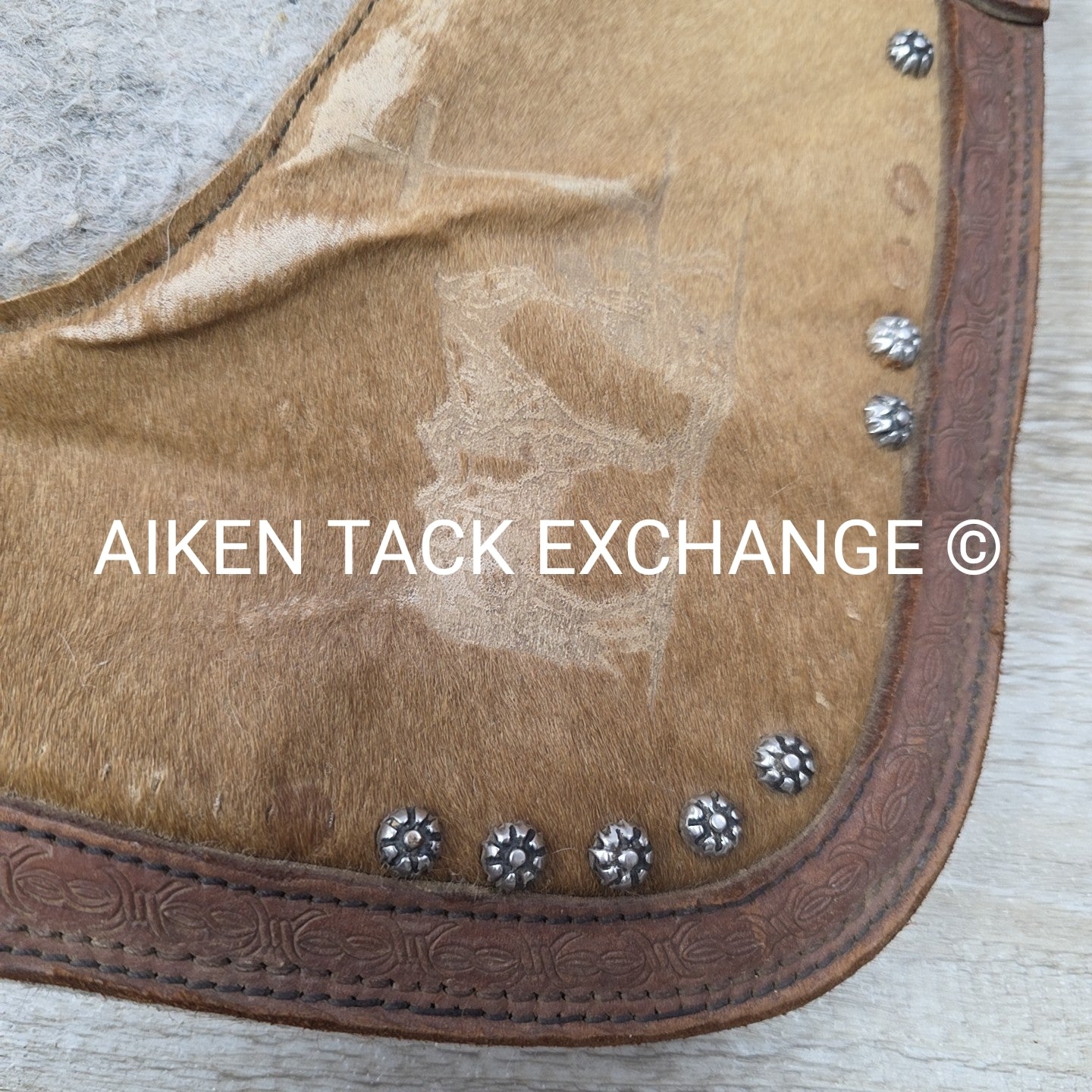 Showman 427 Felt Bottom Saddle Pad with Argentine Cow Hide