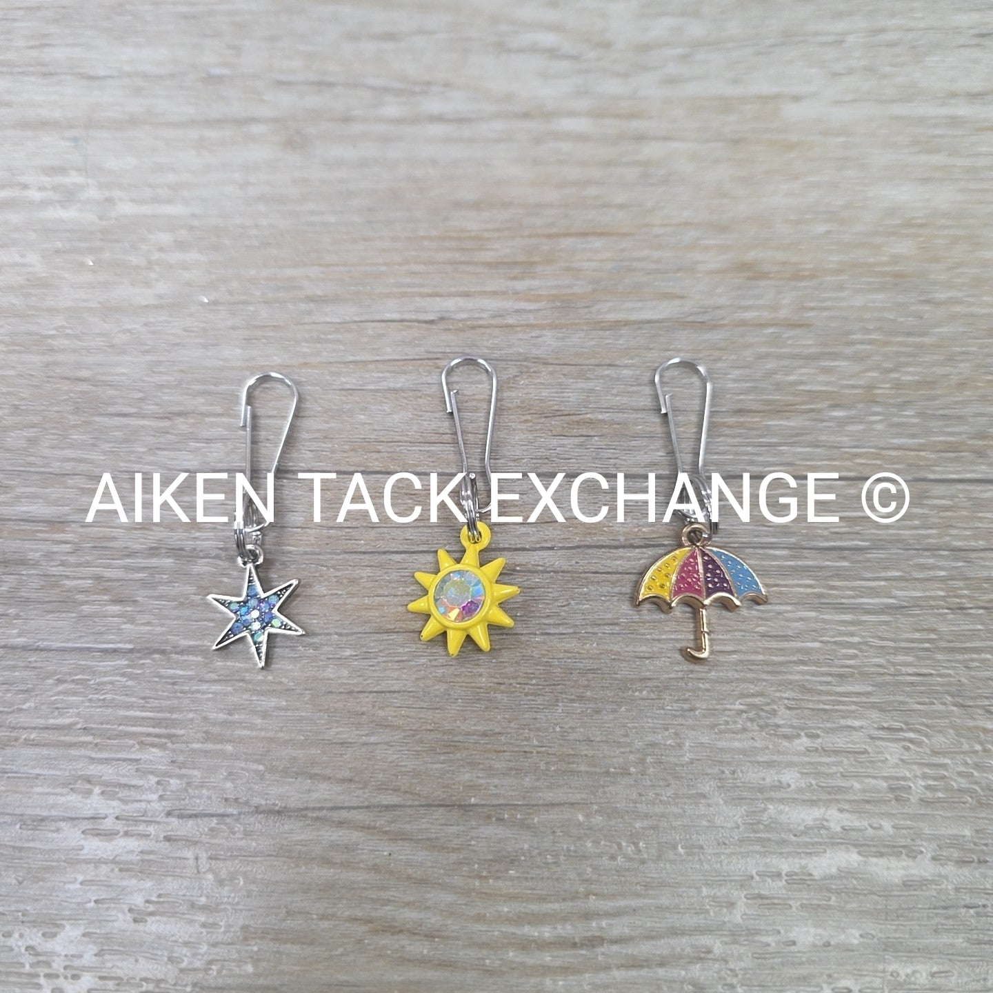Bridle Charms, Set of 3