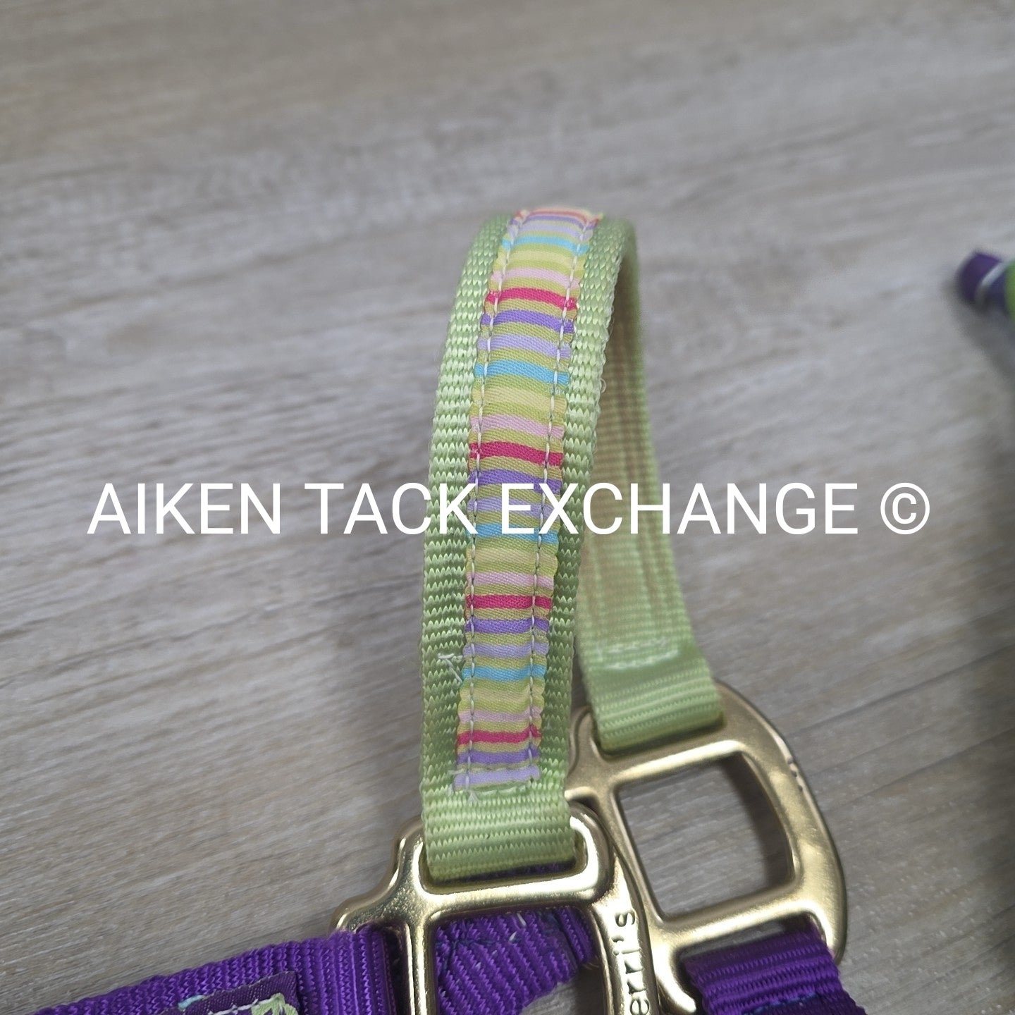 Perri's Nylon Breakaway Halter w/ Cotton Lead Rope, Size Cob