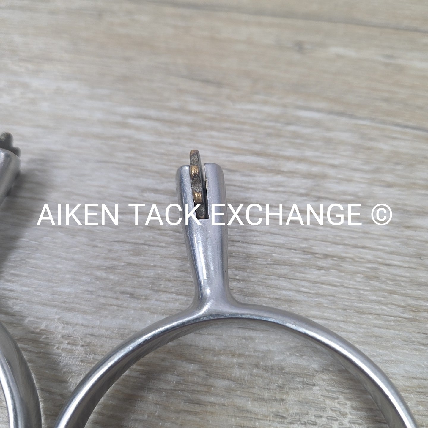 Star Tooth Rowel Spurs, No Straps