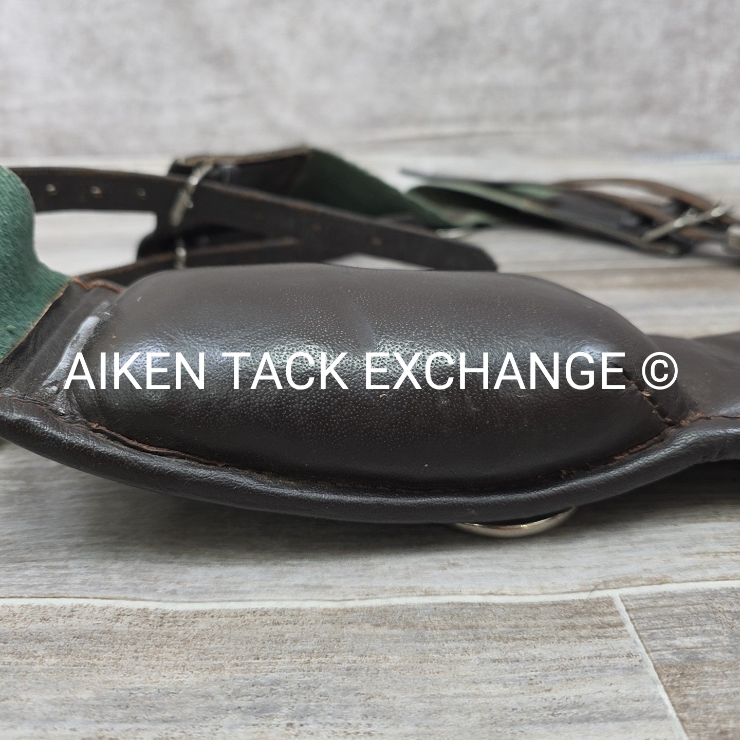 Dover Saddlery Classic Web Lunging Surcingle