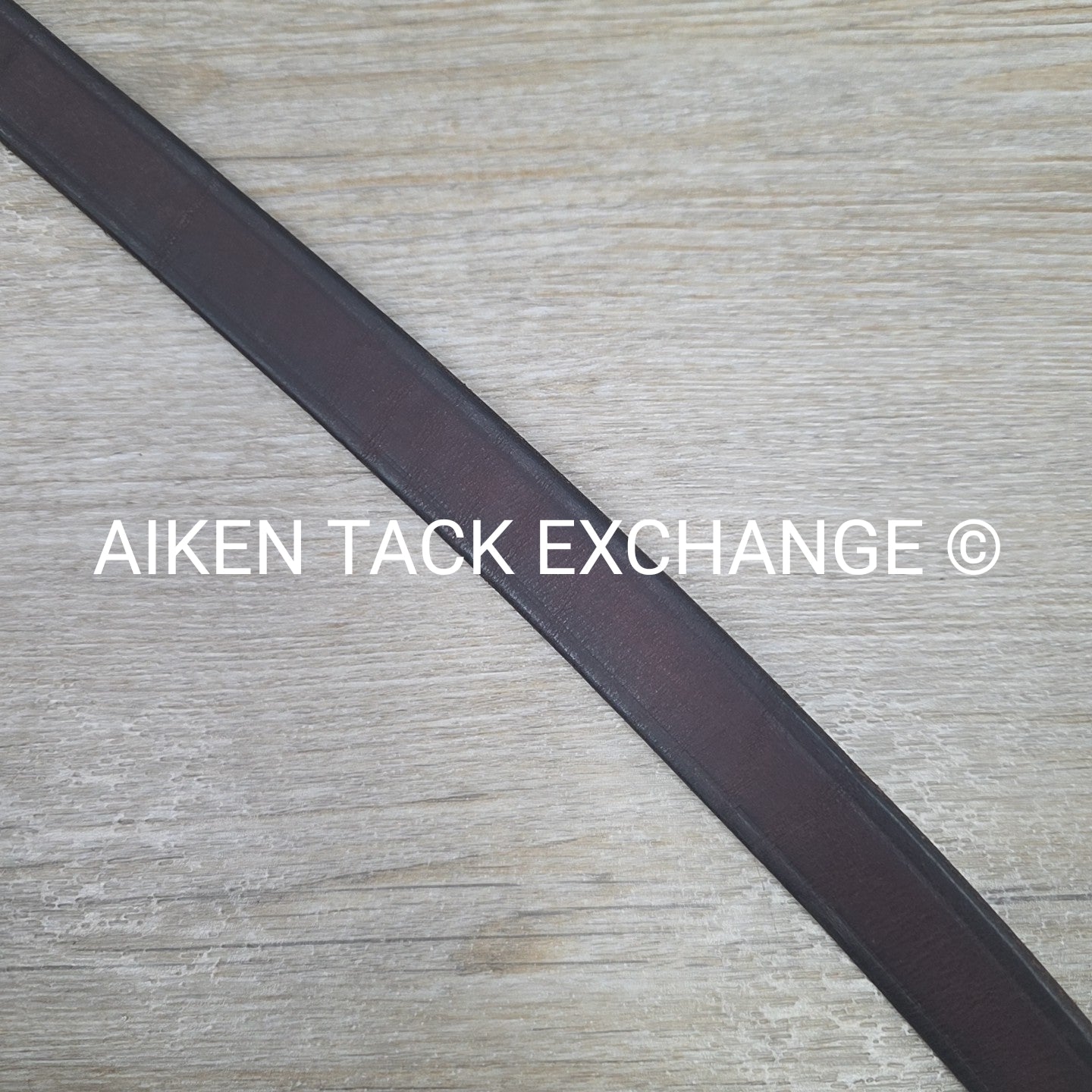 Tory Leather Padded Lead w/ Chain (has nameplate)