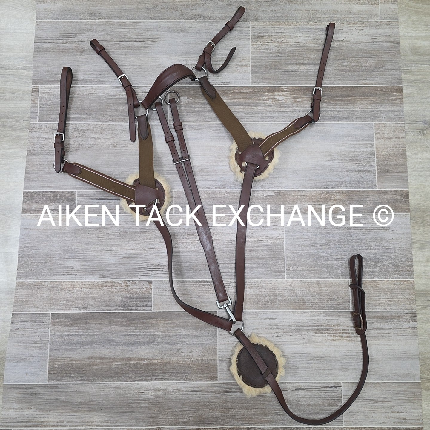 5 Point Breastplate with Running Martingale Attachment, Brown, Size Full