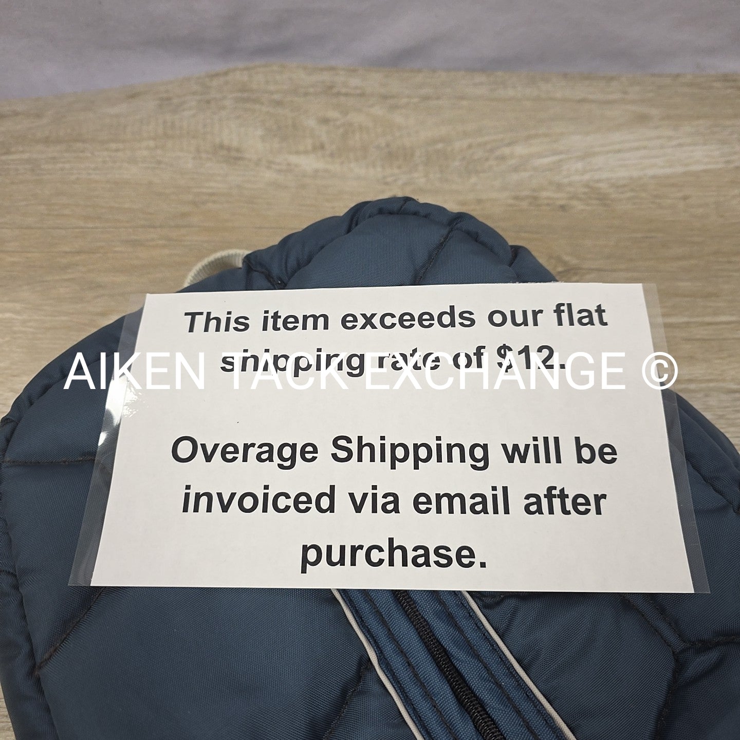 Big D Quilted Halter Bridle Storage Carry Bag