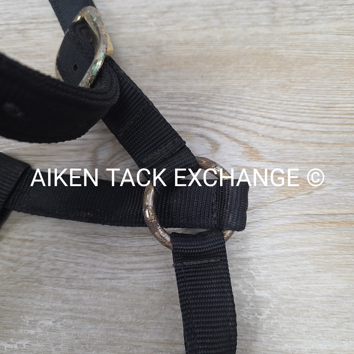 BARGAIN BUNDLE: 2 Nylon Halters, Size Full