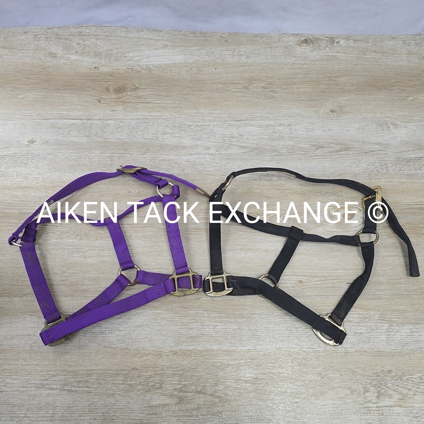 BARGAIN BUNDLE: 2 Nylon Halters, Size Full