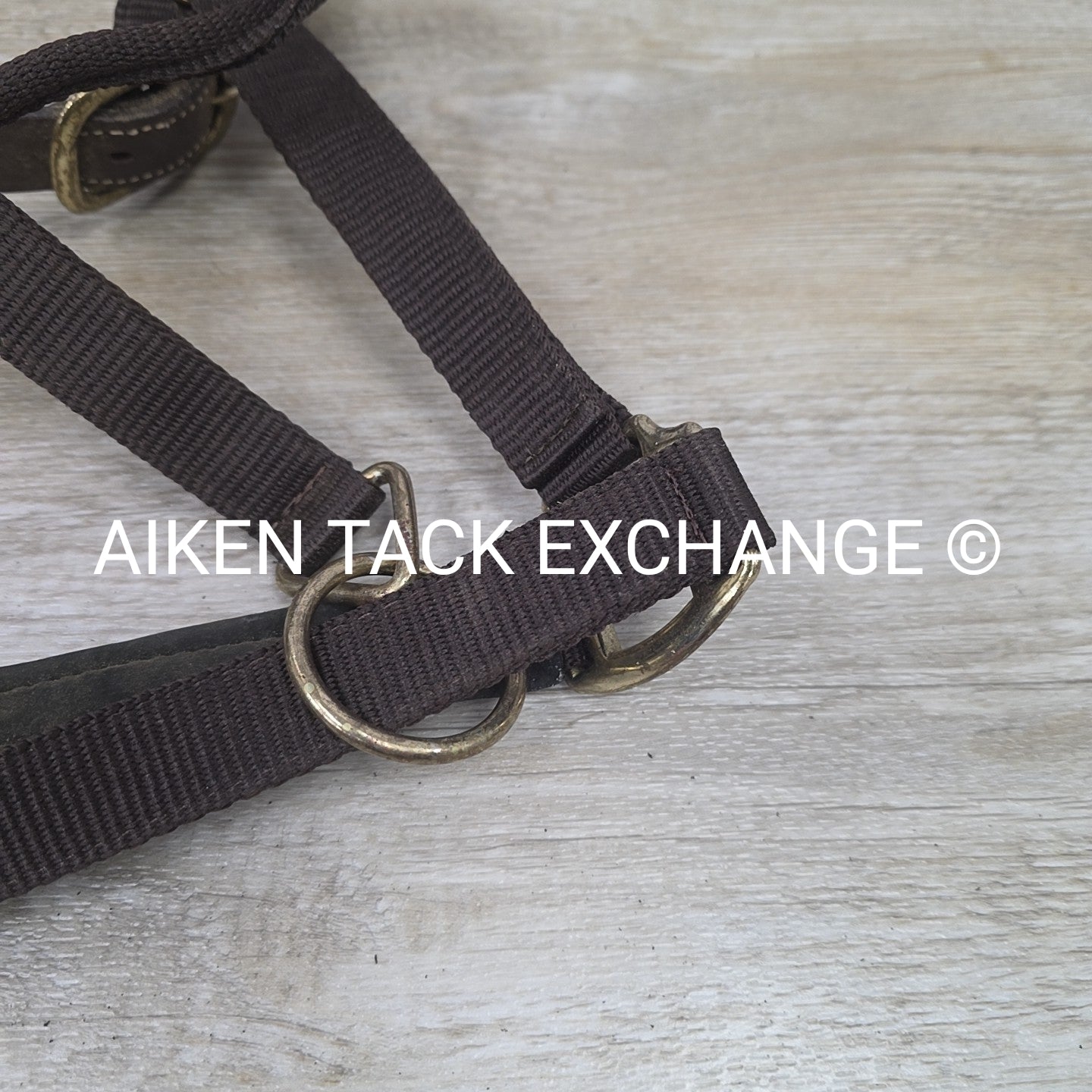 Nylon Halter, Size Cob
