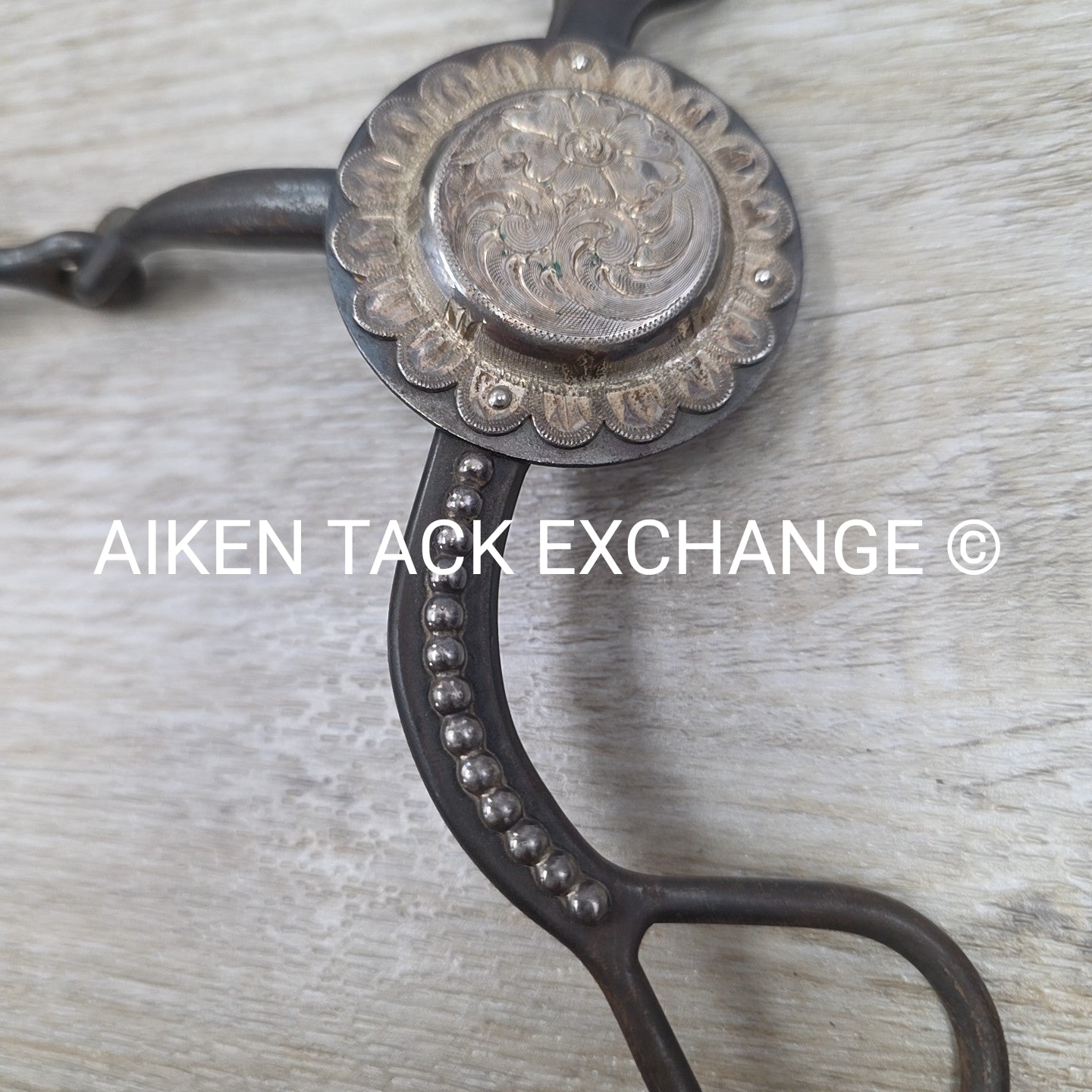 Single Joint Sweet Iron Western Bit 4.75"
