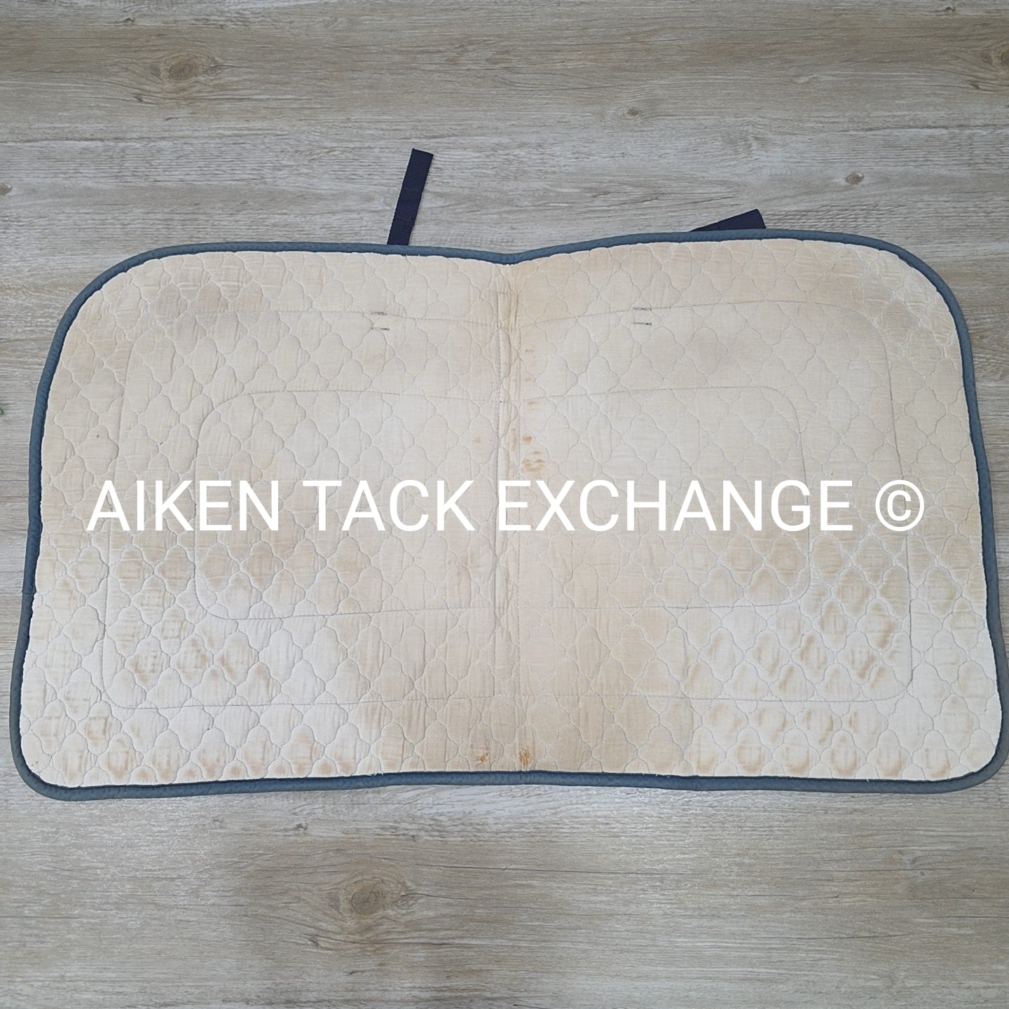 BARGAIN BUNDLE: Centaur, Wilker's, & JT International All Purpose Saddle Pads