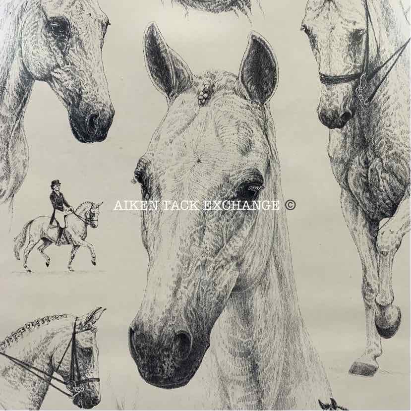"Seldom Seen" by Marilyn Fallon Framed Print, 18.5" x 23"