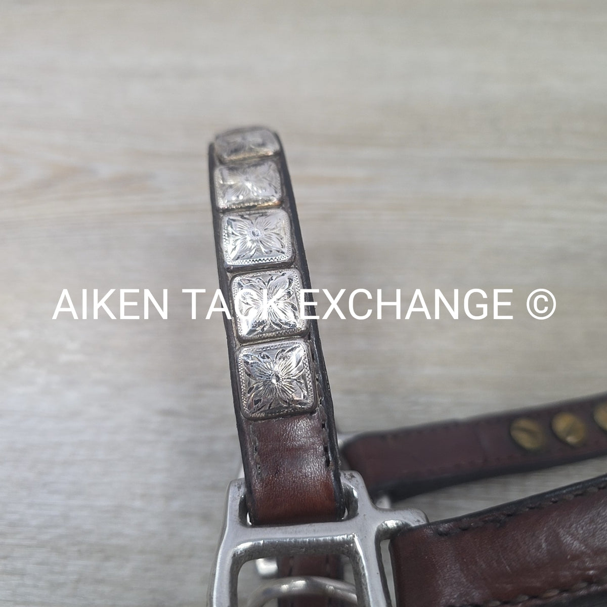 Western Show Halter, Size Foal