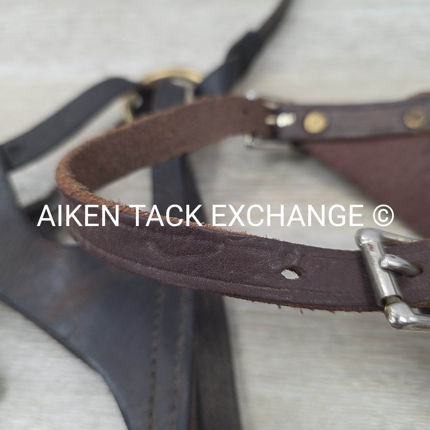 BARGAIN BUNDLE: 2 Leather Foal Halters