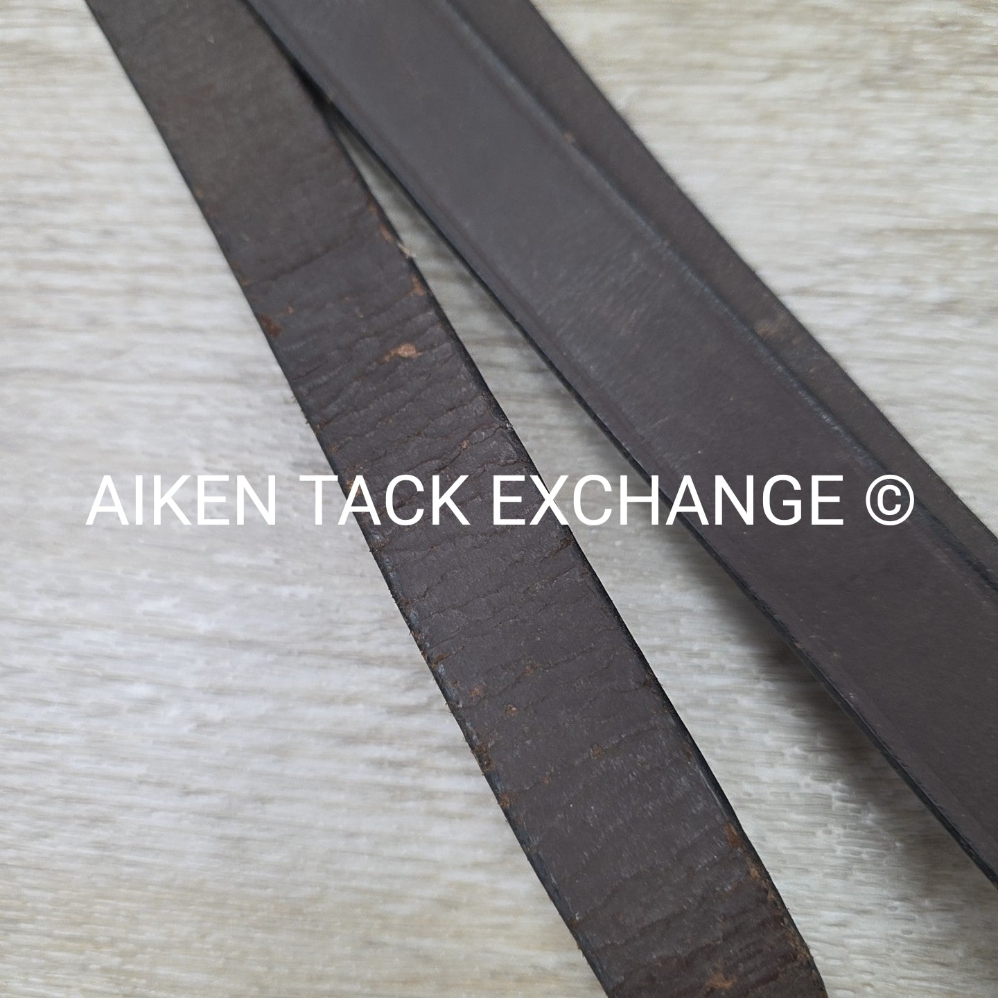 BARGAIN BUNDLE: Cotton Web Lunge Line with Chain & Leather Lead with Chain
