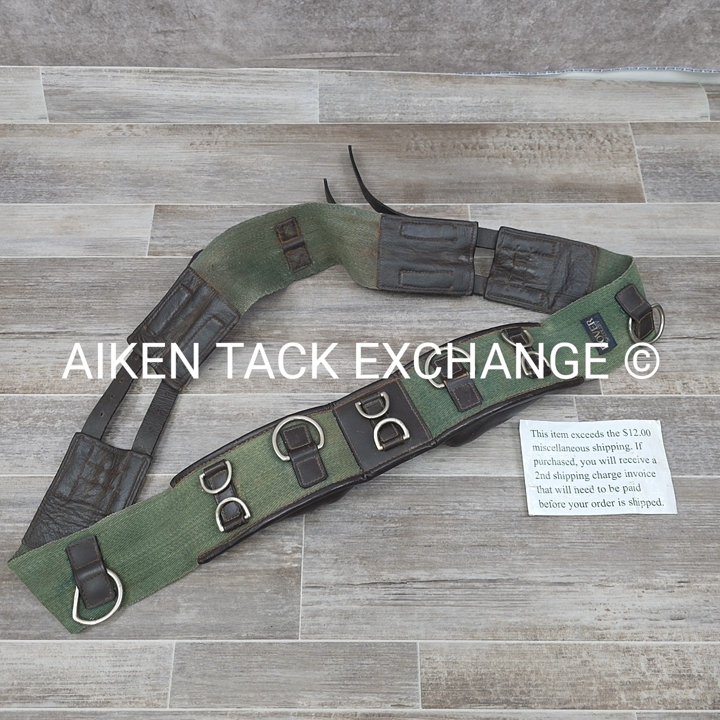 Dover Saddlery Classic Web Lunging Surcingle