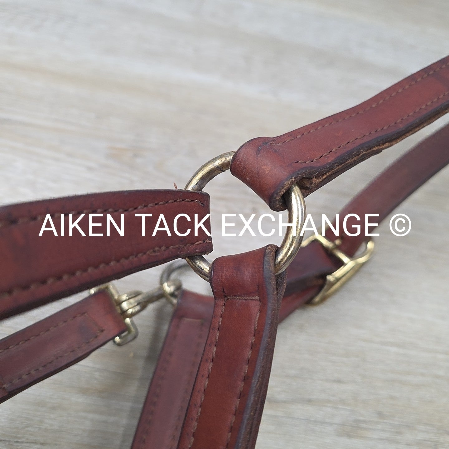 BARGAIN BUNDLE: Perri's Leather Halter with Leather Lead Chain